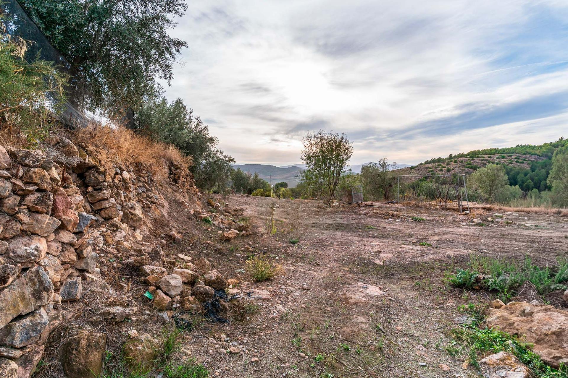 Fincas y solares-Venta-Alcolea-2009081-Foto-10