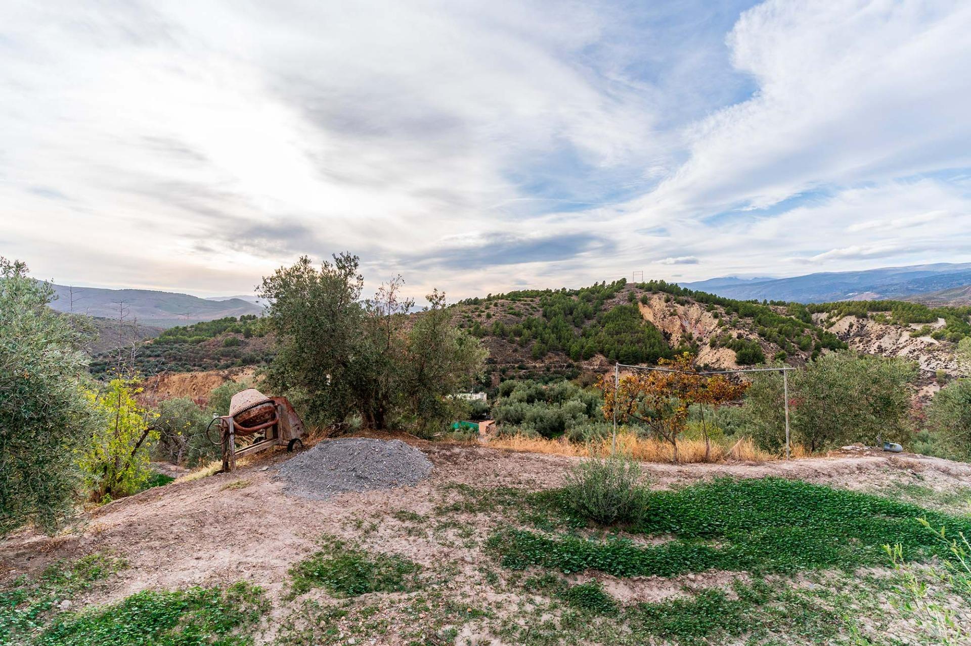 Fincas y solares-Venta-Alcolea-2009081-Foto-12