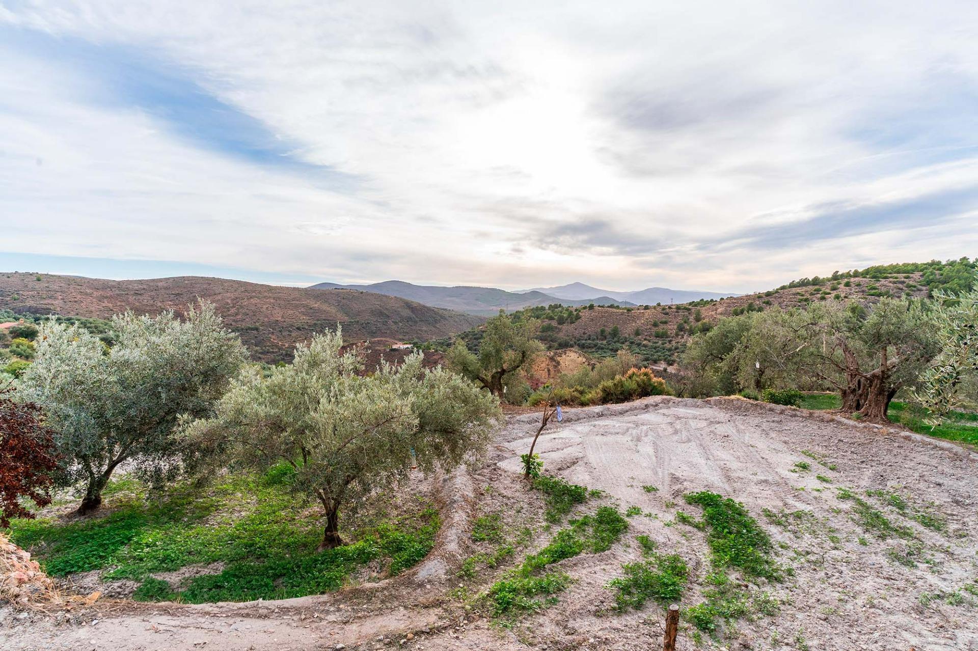 Fincas y solares-Venta-Alcolea-2009081-Foto-18