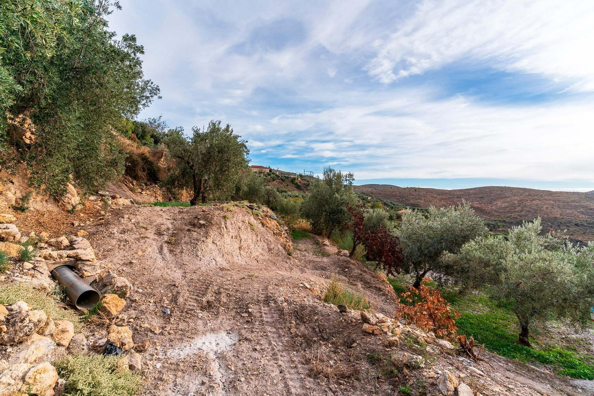 Fincas y solares-Venta-Alcolea-2009081-Foto-16