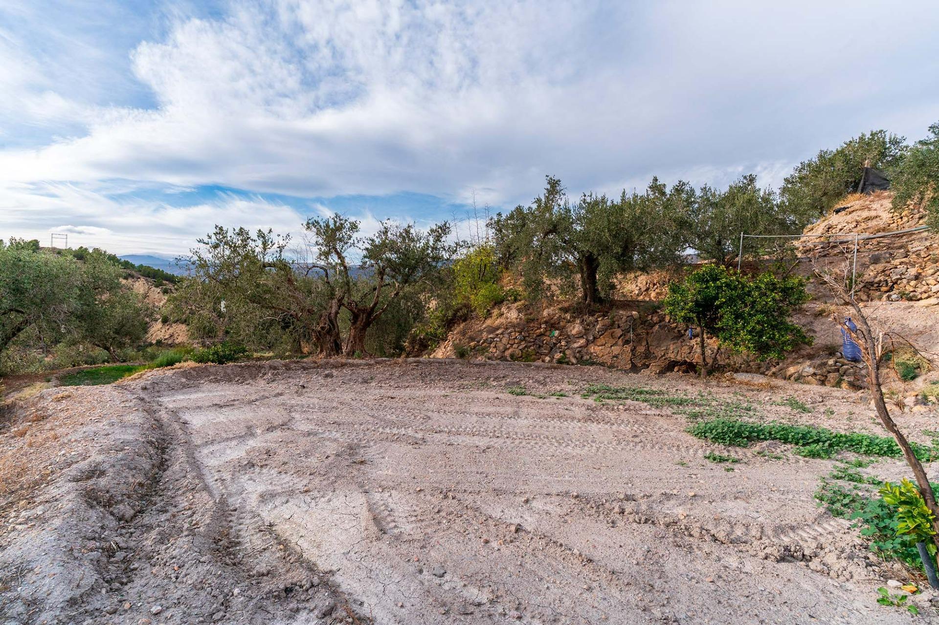 Fincas y solares-Venta-Alcolea-2009081-Foto-19