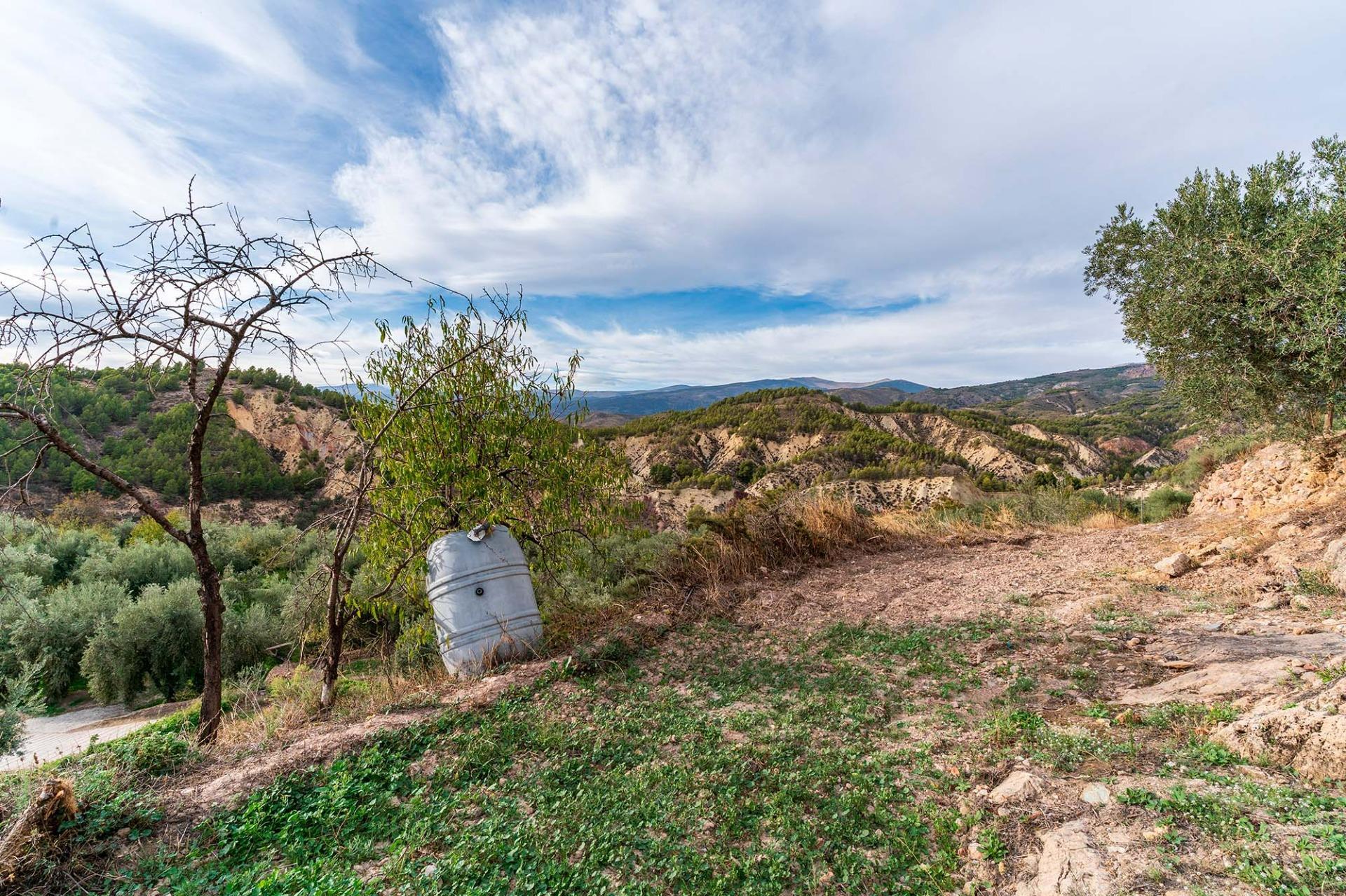Fincas y solares-Venta-Alcolea-2009081-Foto-25