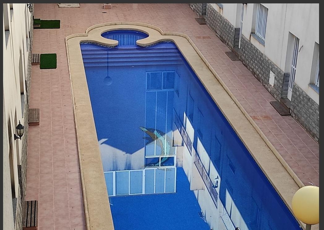 Pisos-Alquiler-Granja de Rocamora-2010227-Foto-16