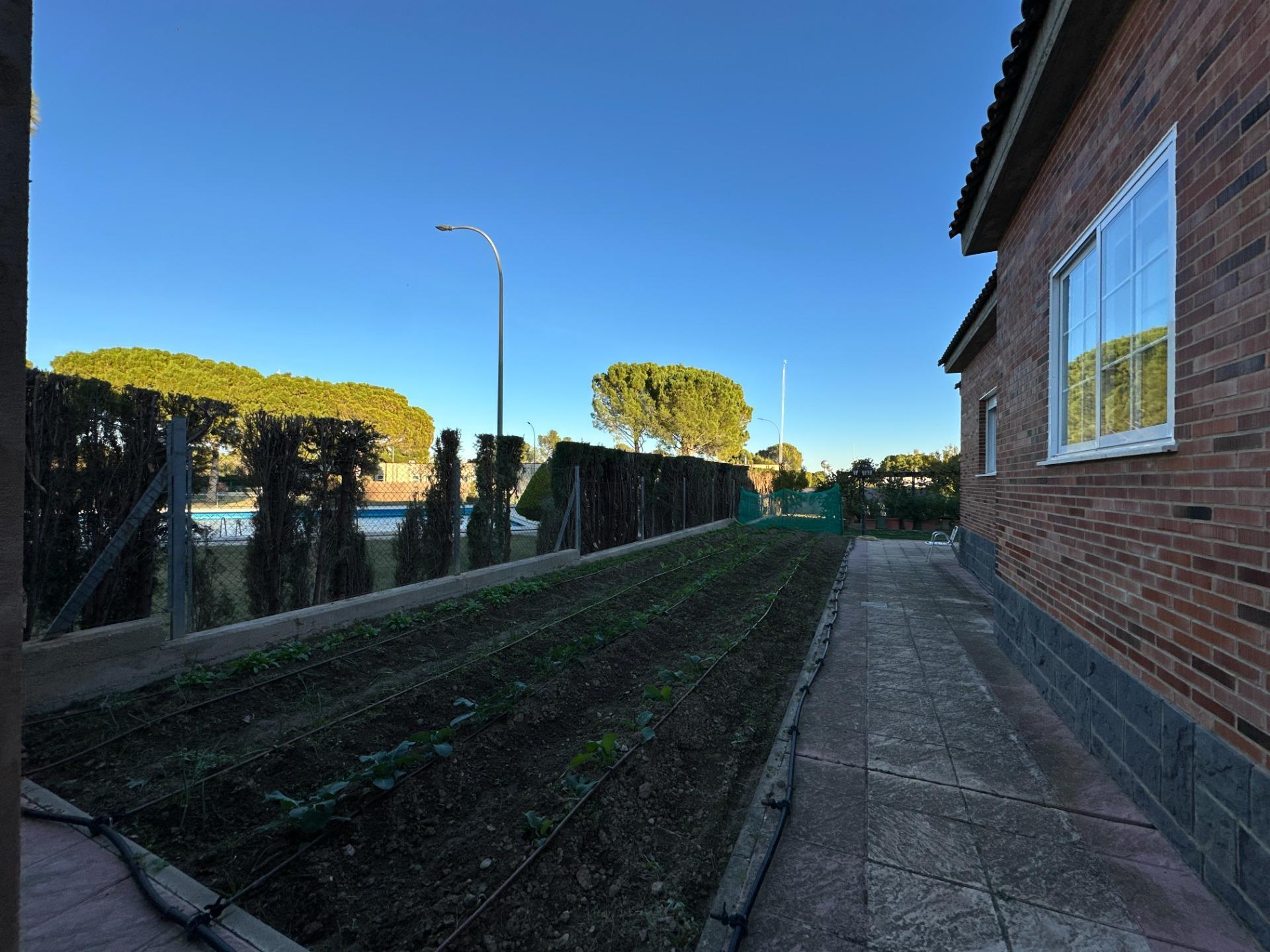 Casas o chalets-Venta-Zaragoza-2009099-Foto-88