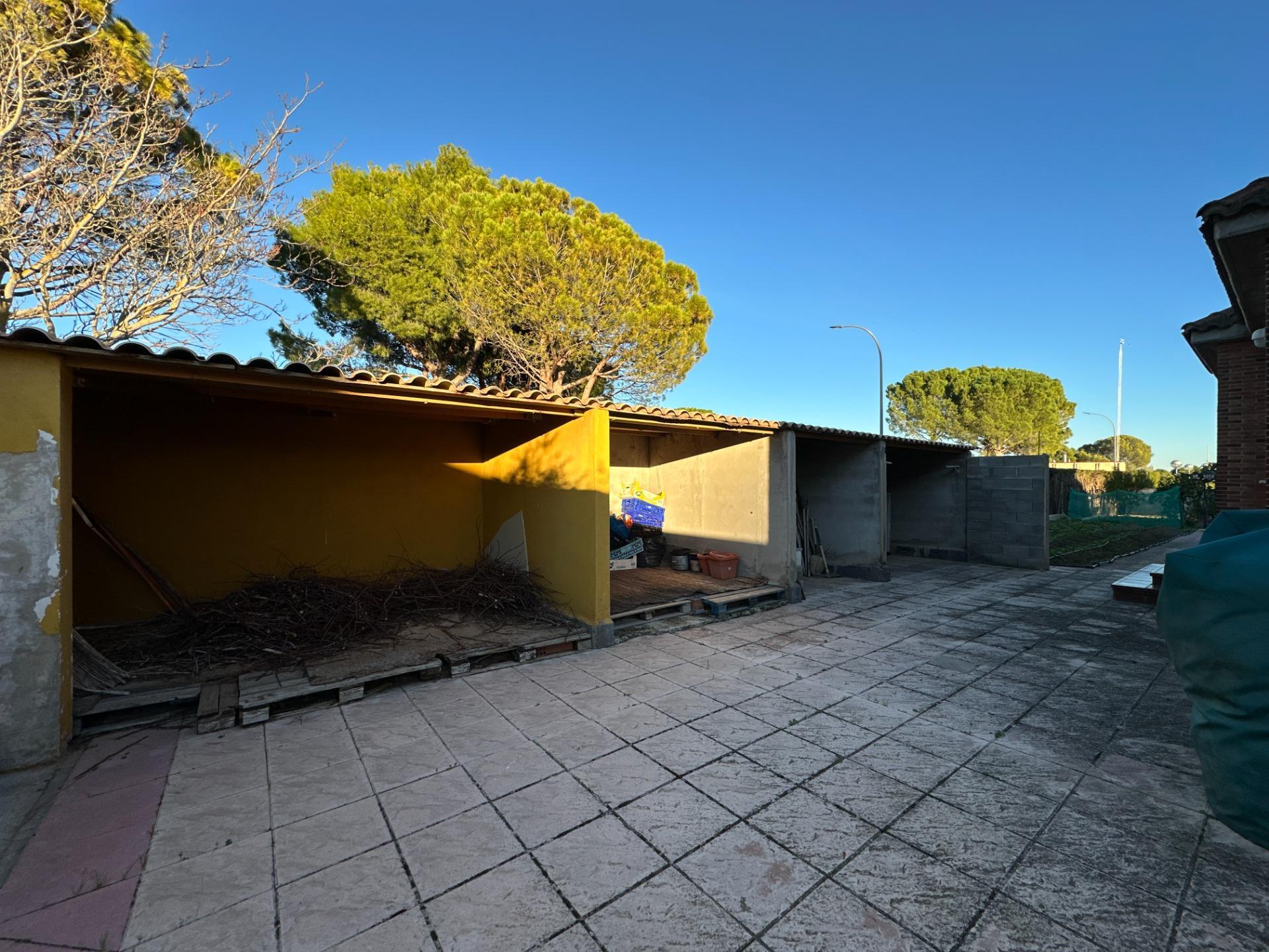 Casas o chalets-Venta-Zaragoza-2009099-Foto-91