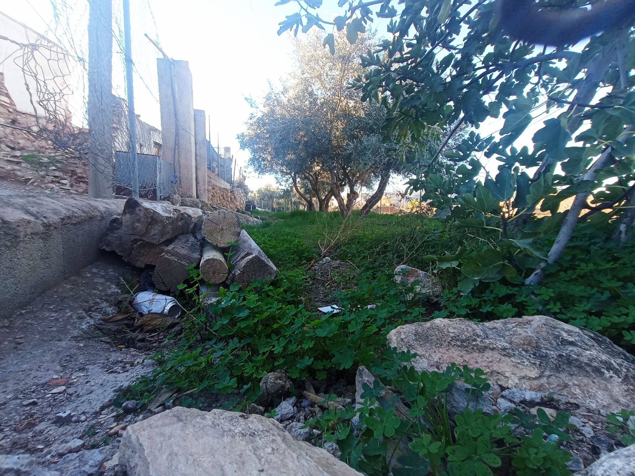 Fincas y solares-Venta-DalÃ­as-2009105-Foto-9