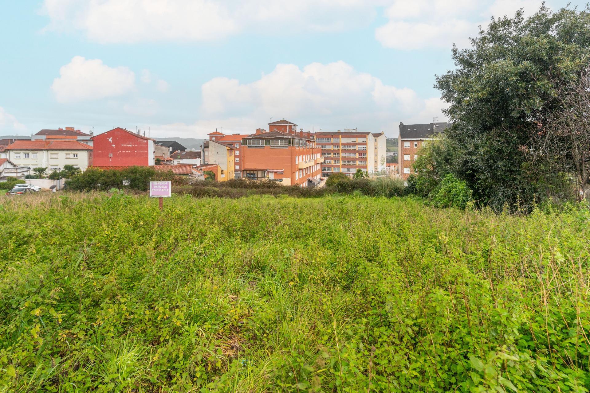 Plot in Aviles