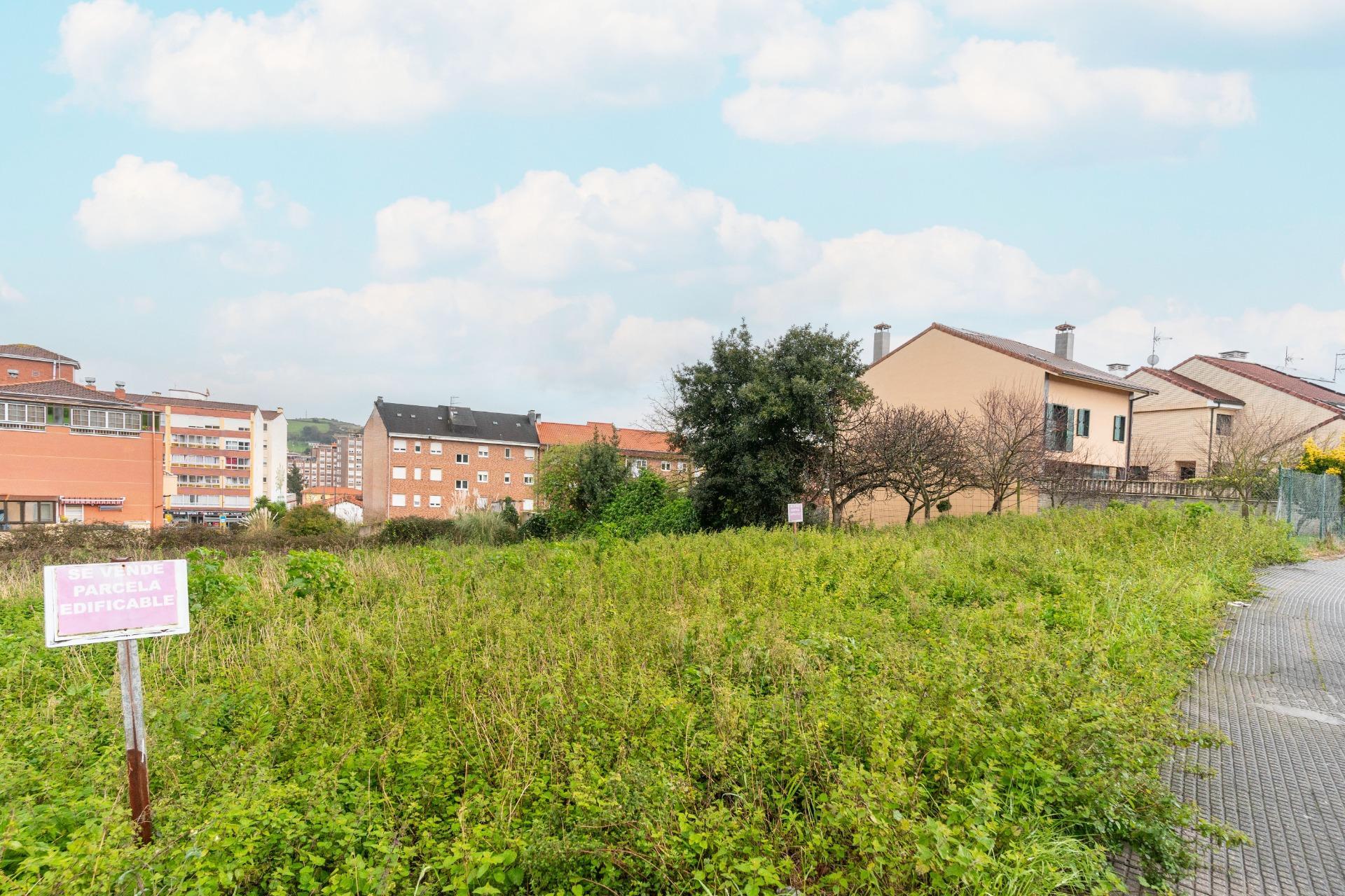 Plot in Aviles