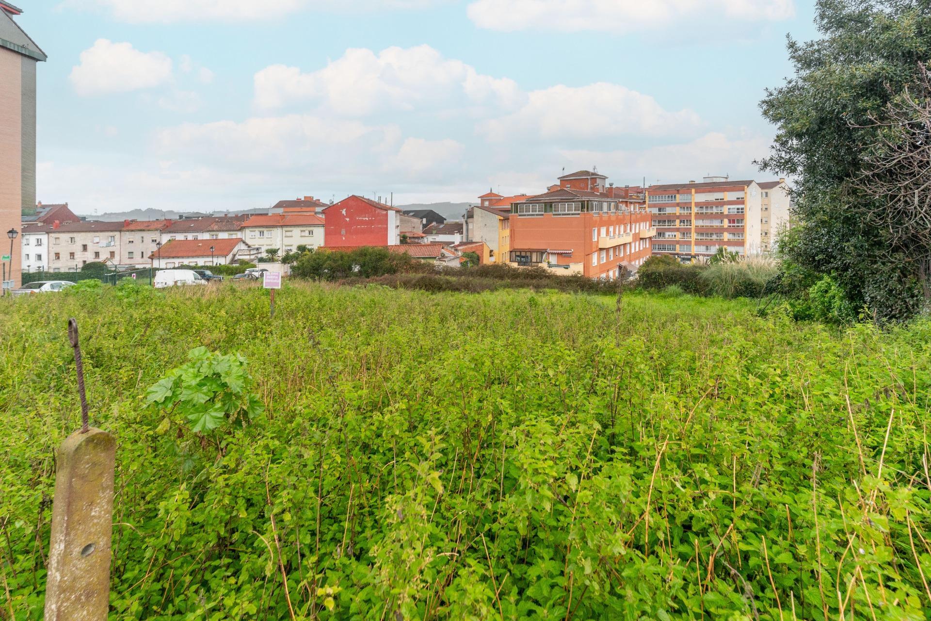 Plot in Aviles