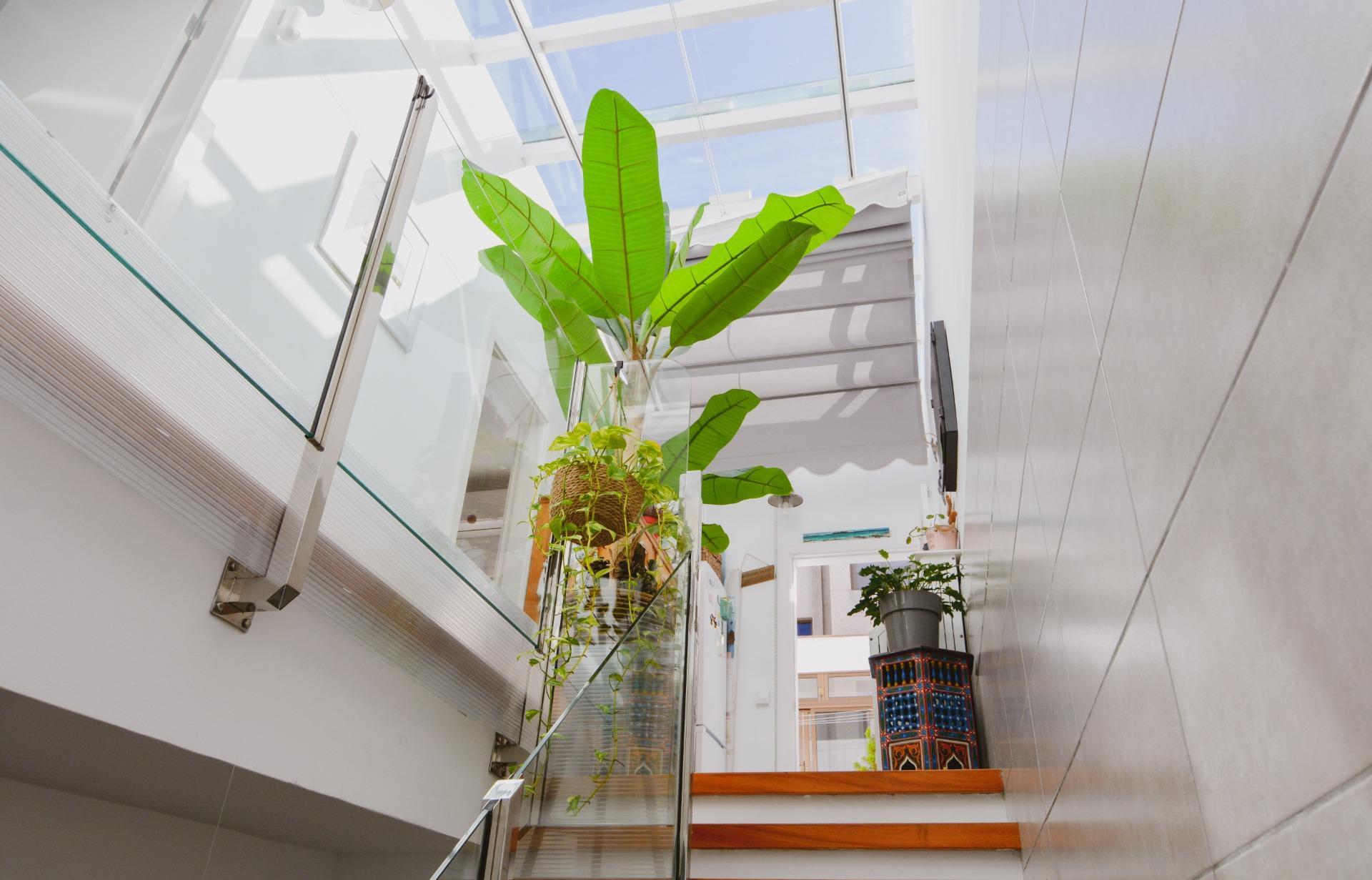 Casas o chalets-Venta-Las Palmas de Gran Canaria-2009455-Foto-16