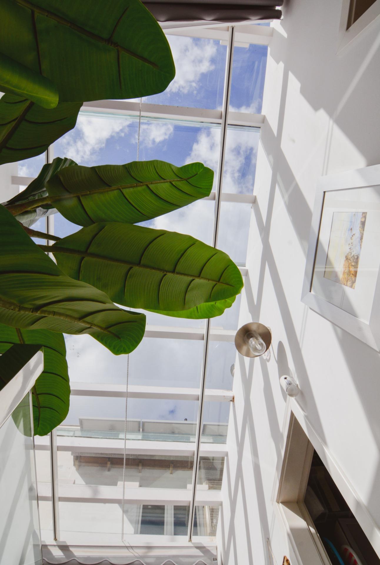 Casas o chalets-Venta-Las Palmas de Gran Canaria-2009455-Foto-31