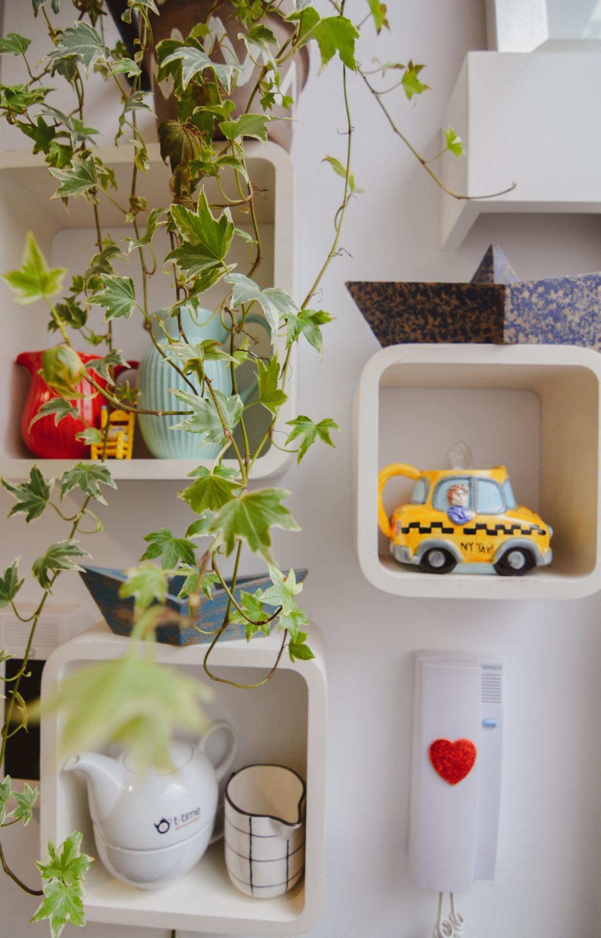 Casas o chalets-Venta-Las Palmas de Gran Canaria-2009455-Foto-35