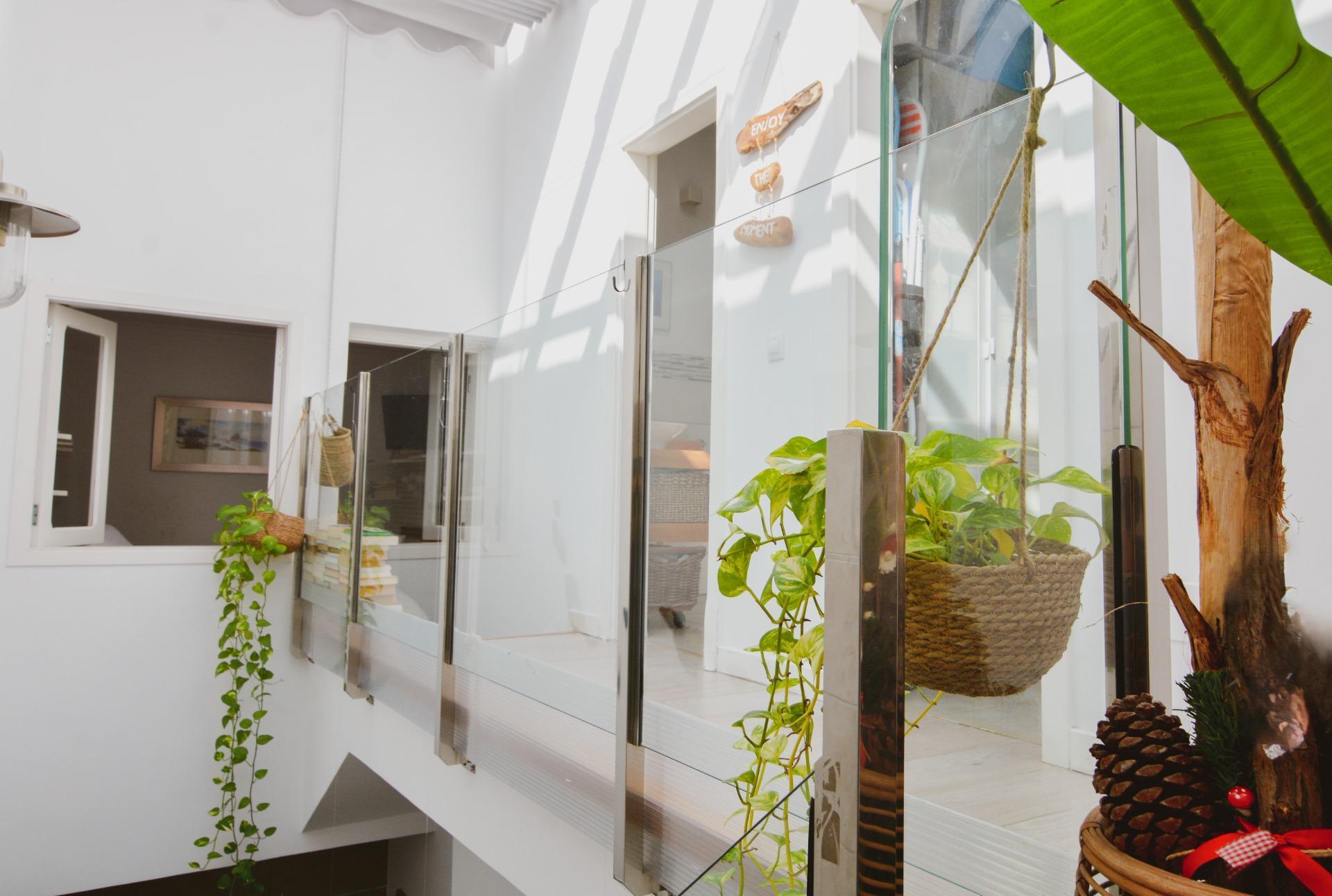 Casas o chalets-Venta-Las Palmas de Gran Canaria-2009455-Foto-33