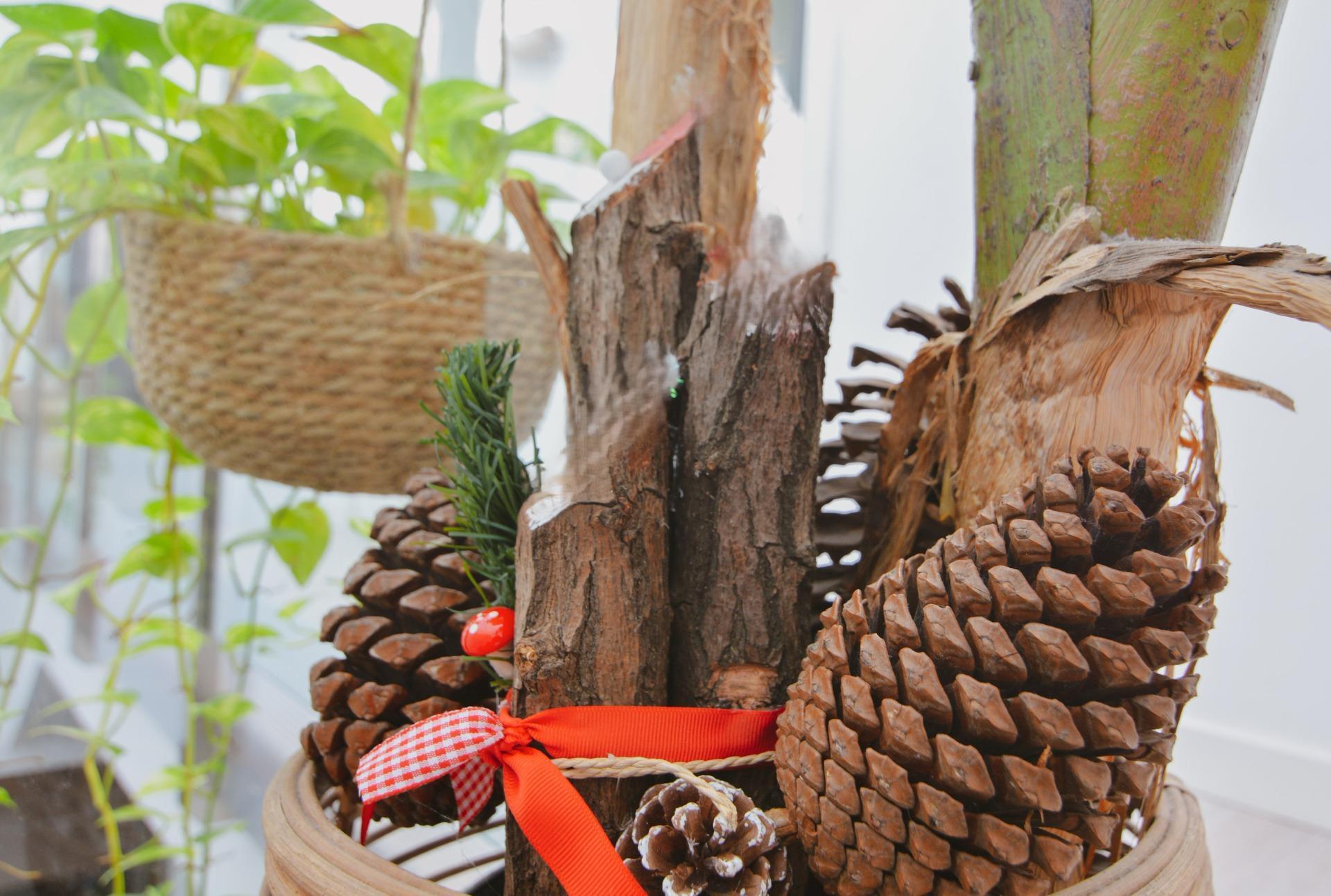 Casas o chalets-Venta-Las Palmas de Gran Canaria-2009455-Foto-32