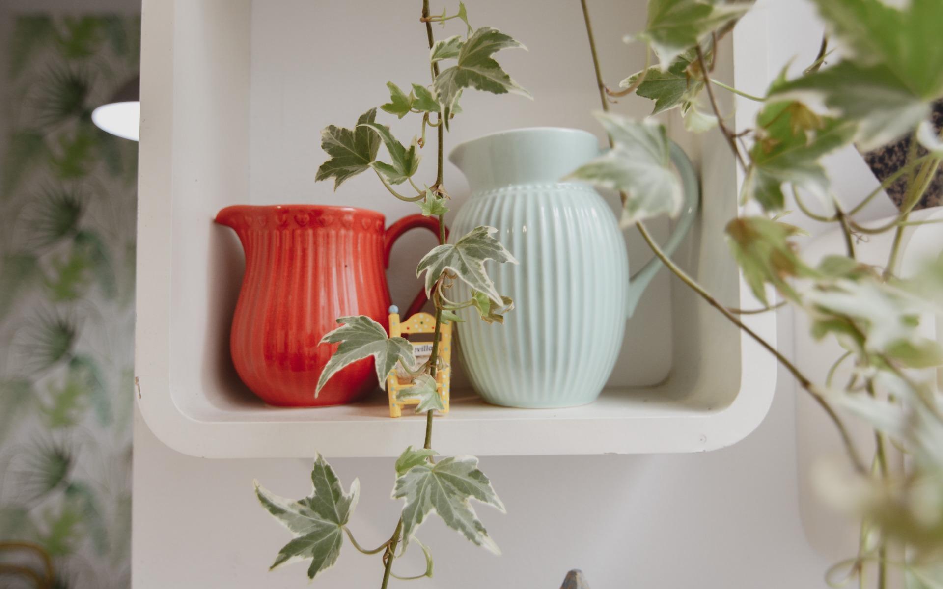 Casas o chalets-Venta-Las Palmas de Gran Canaria-2009455-Foto-51