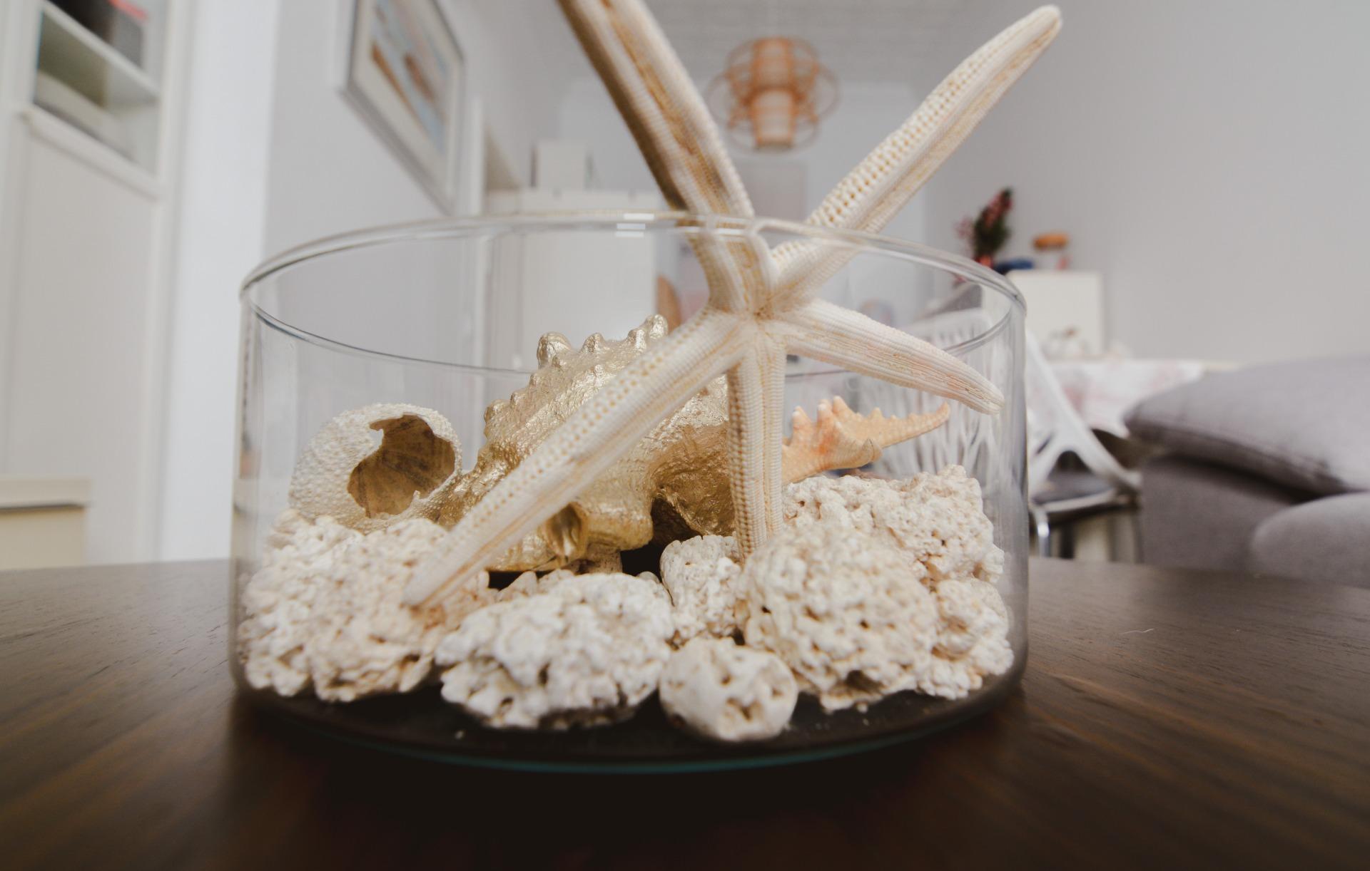 Casas o chalets-Venta-Las Palmas de Gran Canaria-2009455-Foto-57