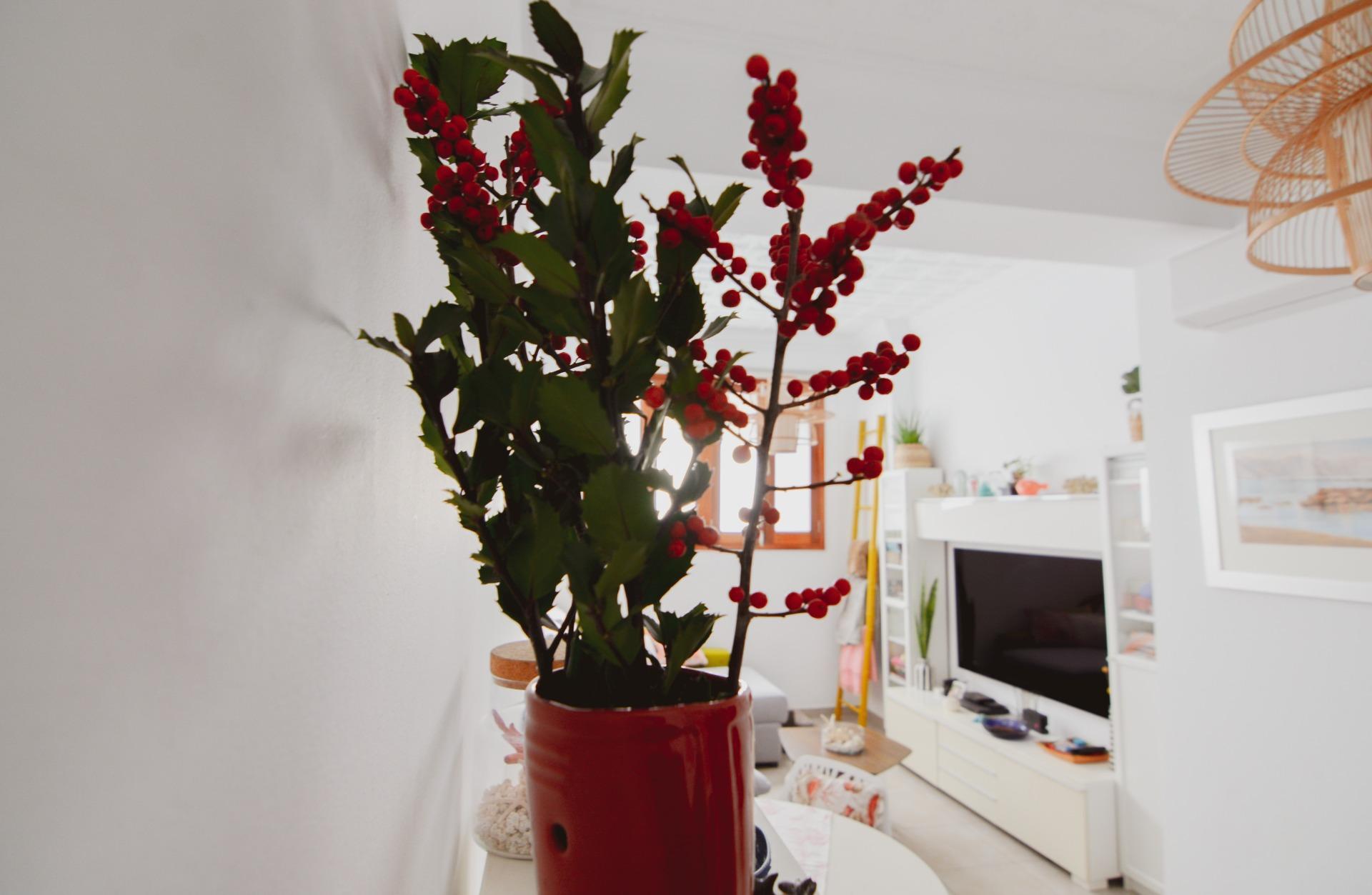 Casas o chalets-Venta-Las Palmas de Gran Canaria-2009455-Foto-59