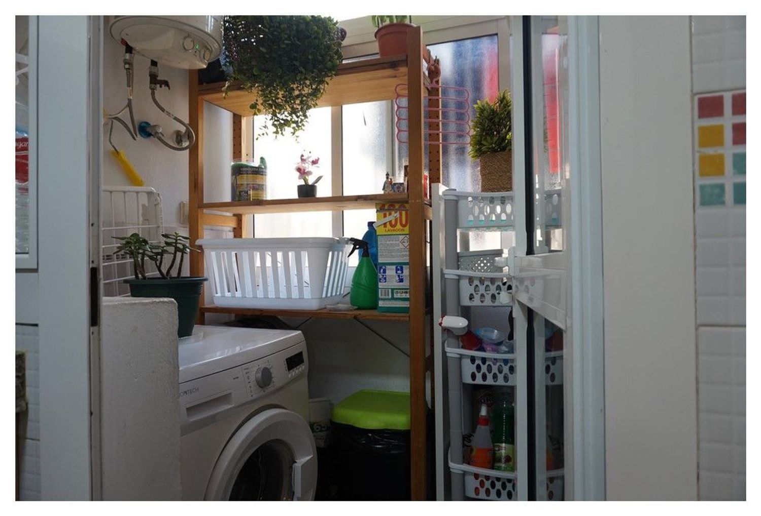 Pisos-Venta-Telde-2009467-Foto-5