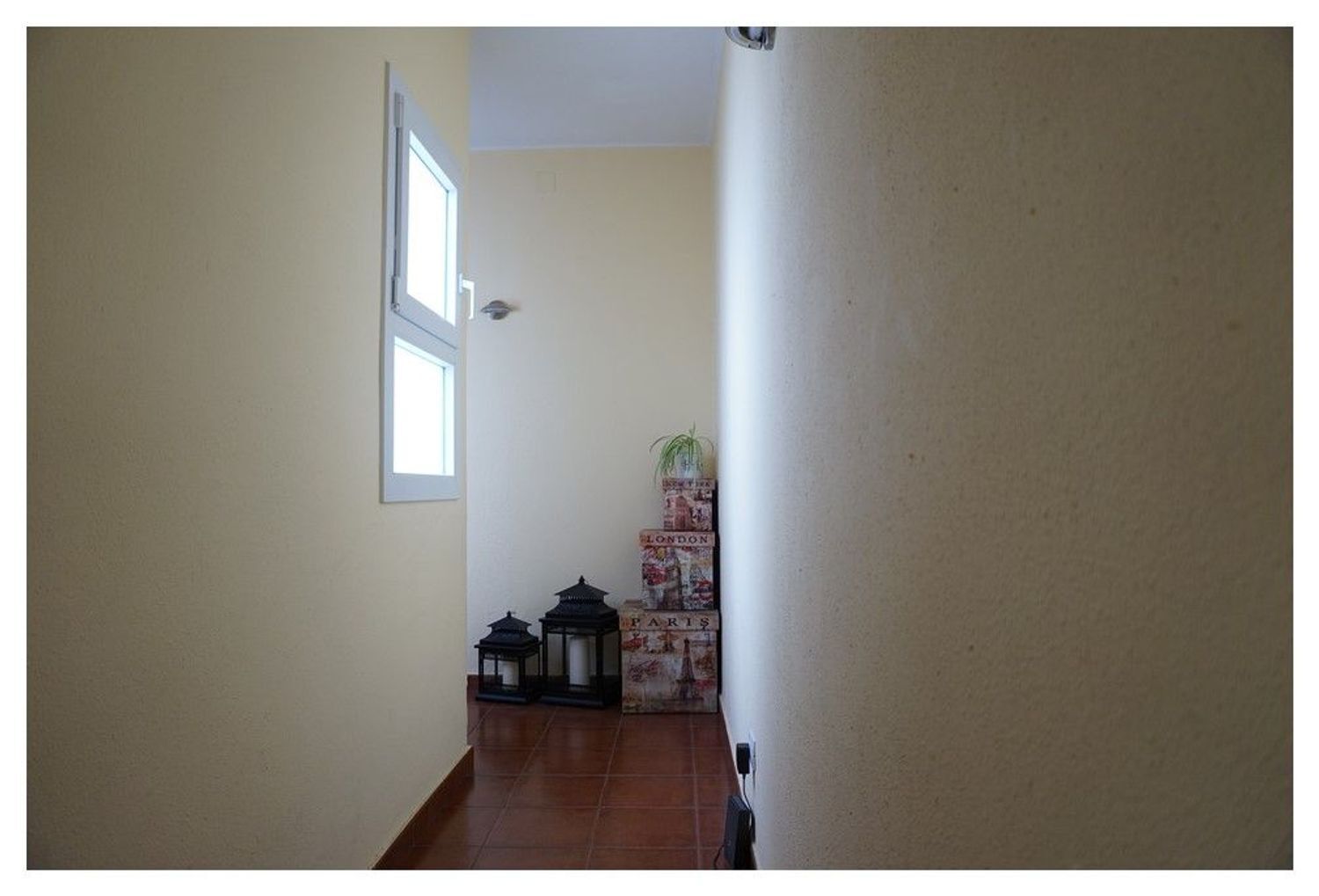 Pisos-Venta-Las Palmas de Gran Canaria-2009476-Foto-3