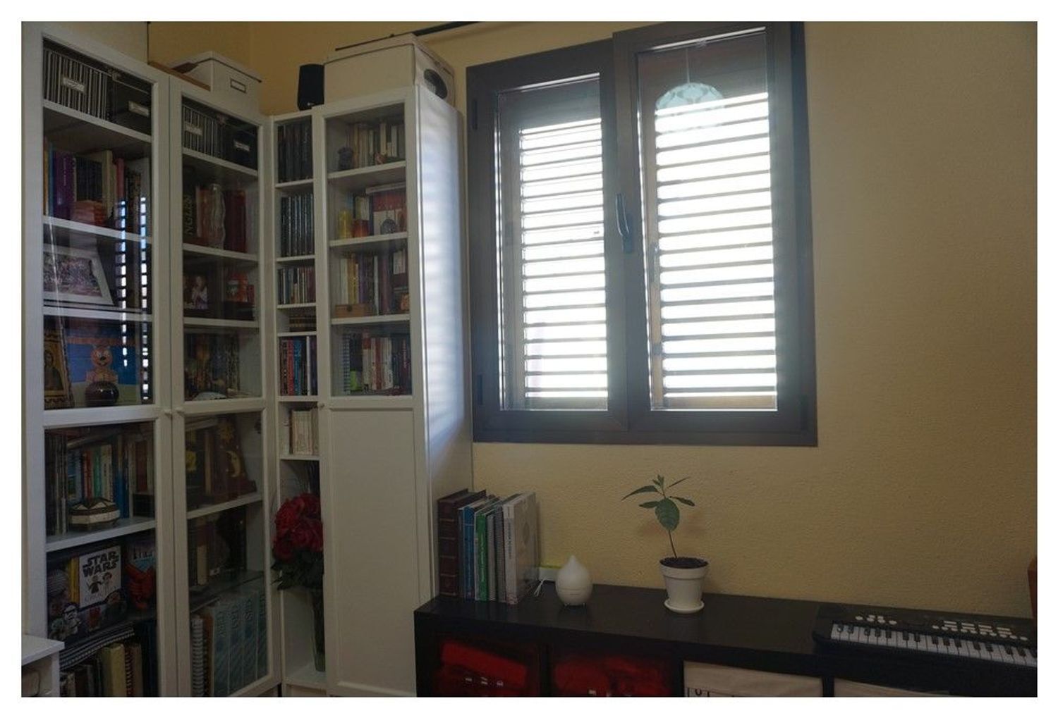 Pisos-Venta-Las Palmas de Gran Canaria-2009476-Foto-8