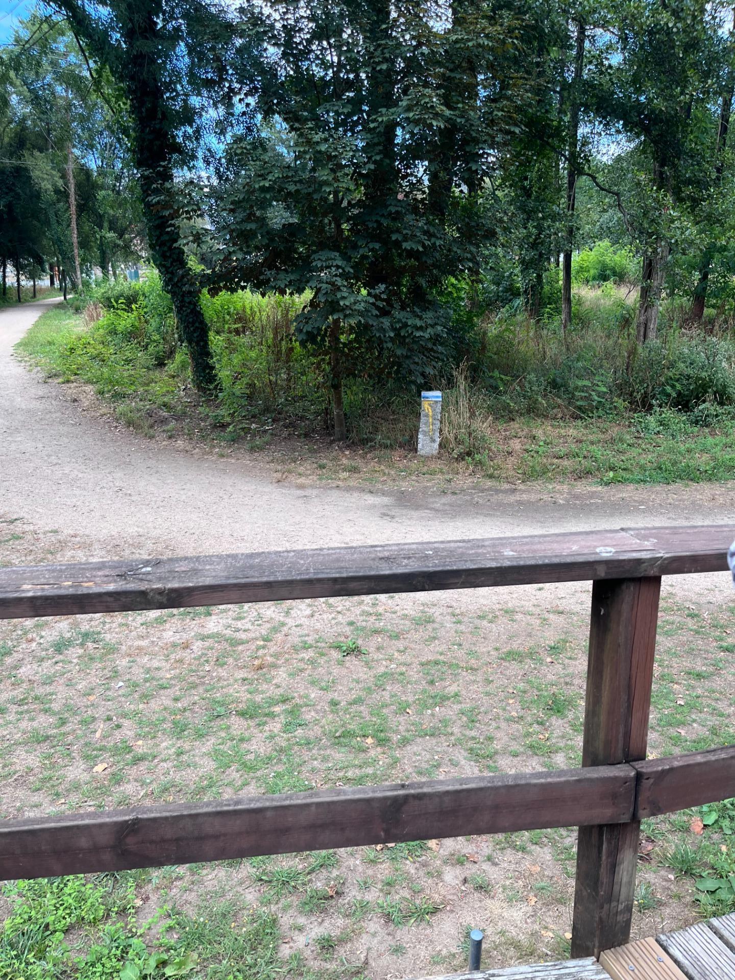 Fincas y solares-Venta-Vigo-2009479