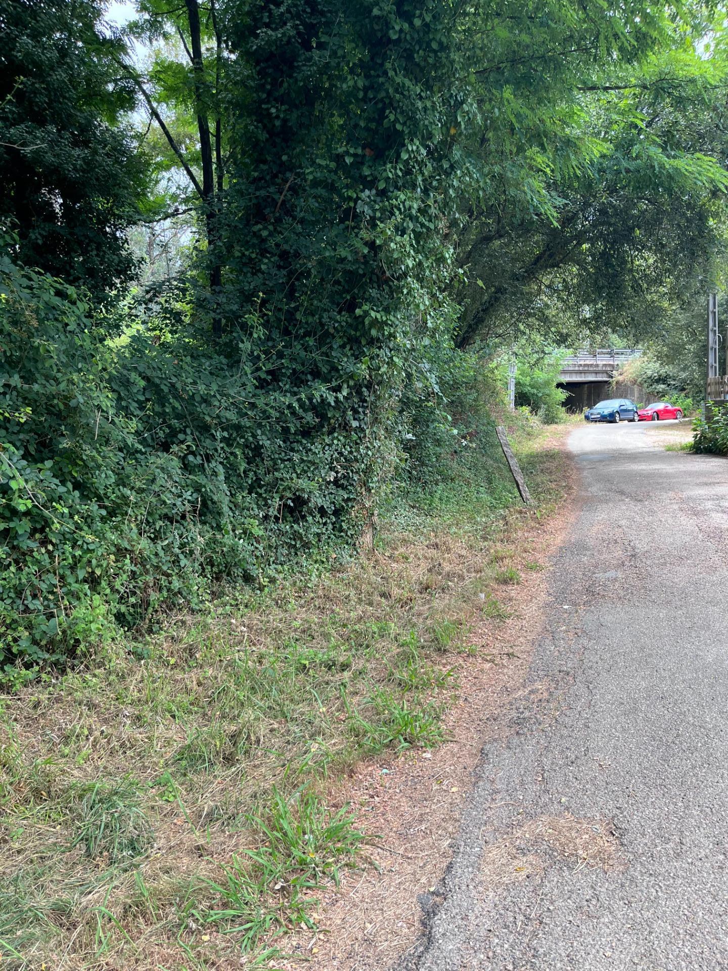 Fincas y solares-Venta-Vigo-2009479-Foto-2