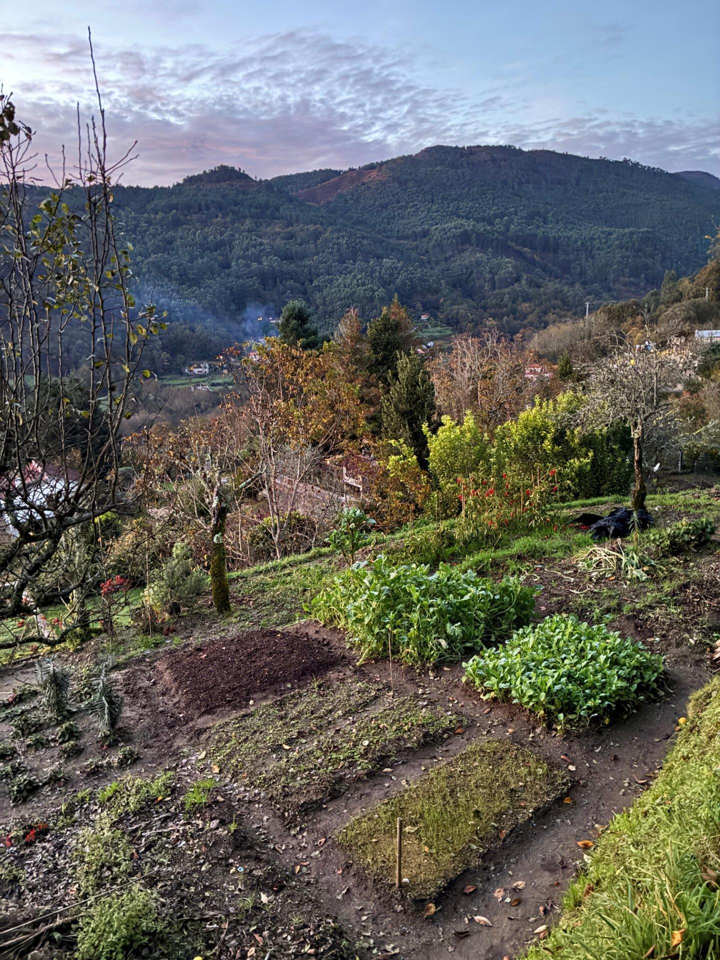 Casas o chalets-Venta-Covelo-2009497-Foto-6