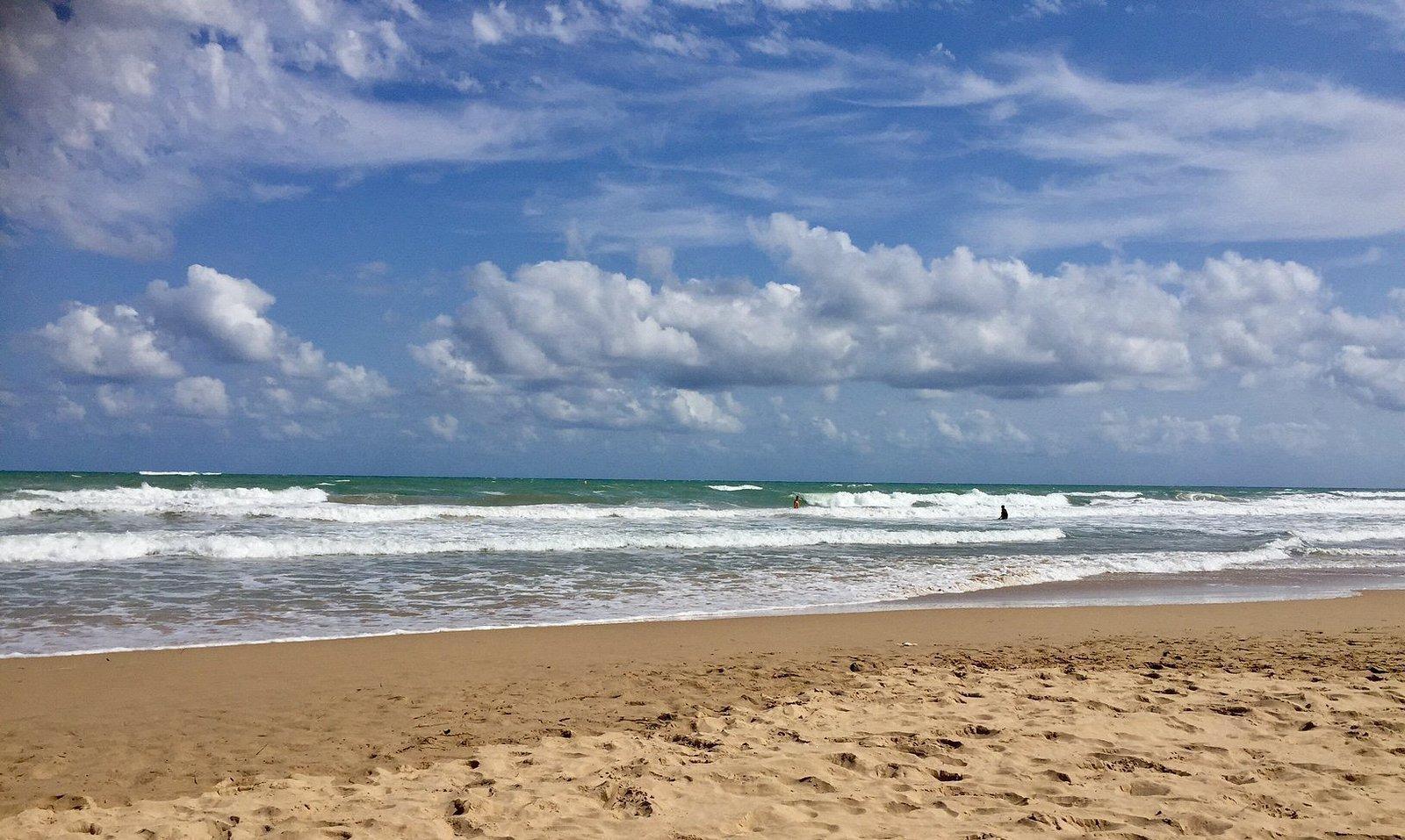 Apartment in Guardamar del Segura