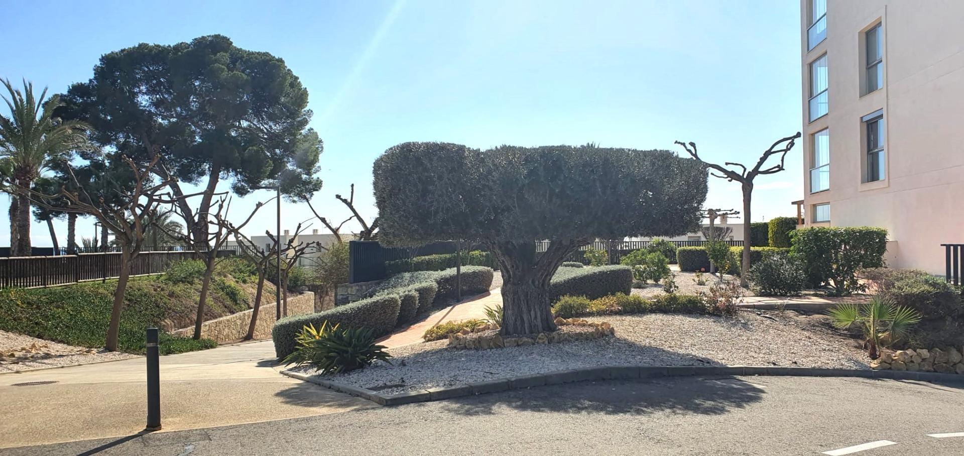 Casas o chalets-Venta-La Villajoyosa-1639795-Foto-46