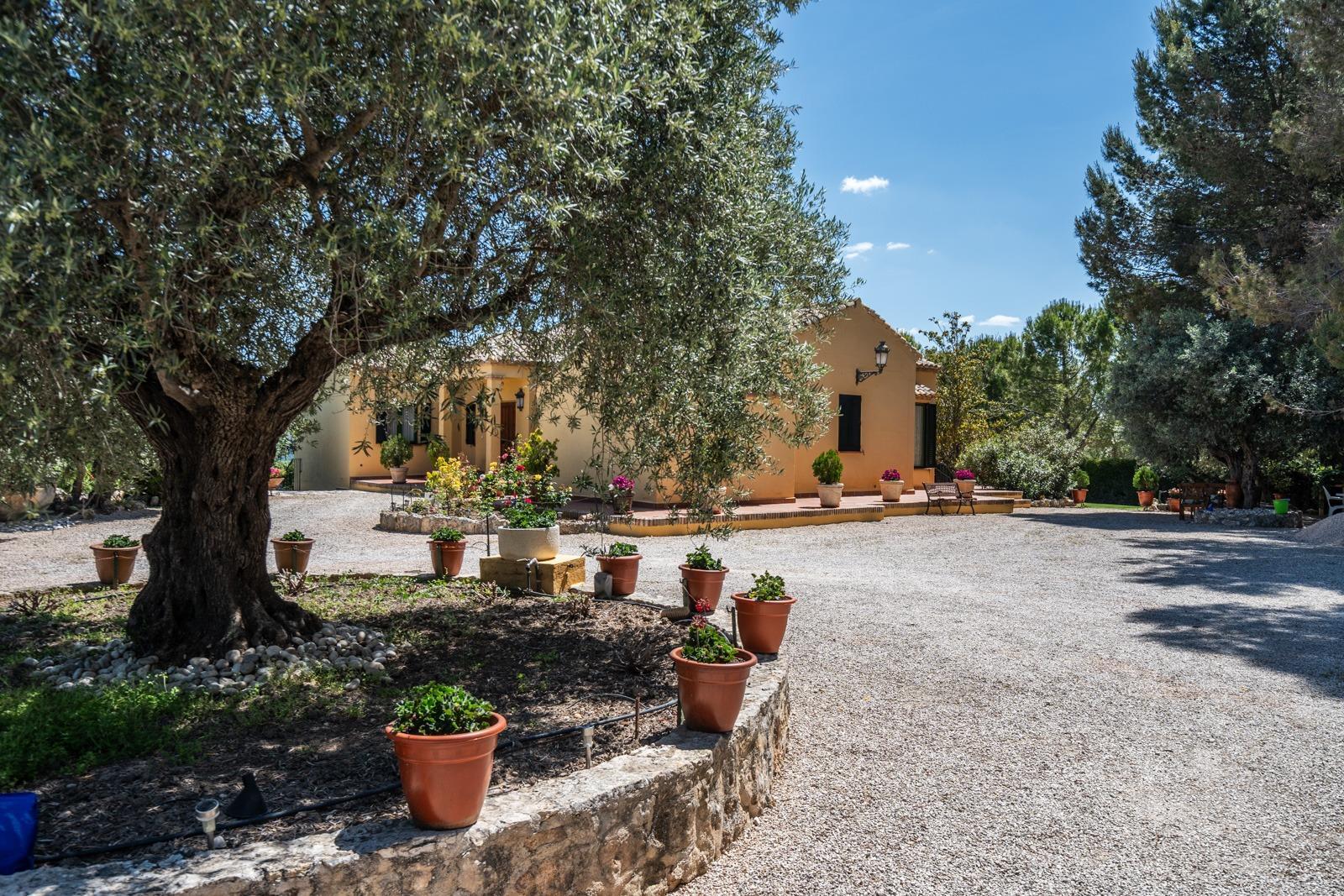 Pisos-Venta-ChinchÃ³n-1734244-Foto-65