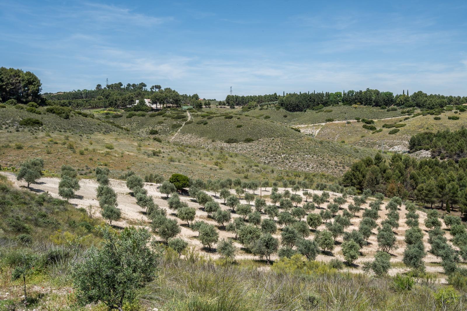 Pisos-Venta-ChinchÃ³n-1734244-Foto-75