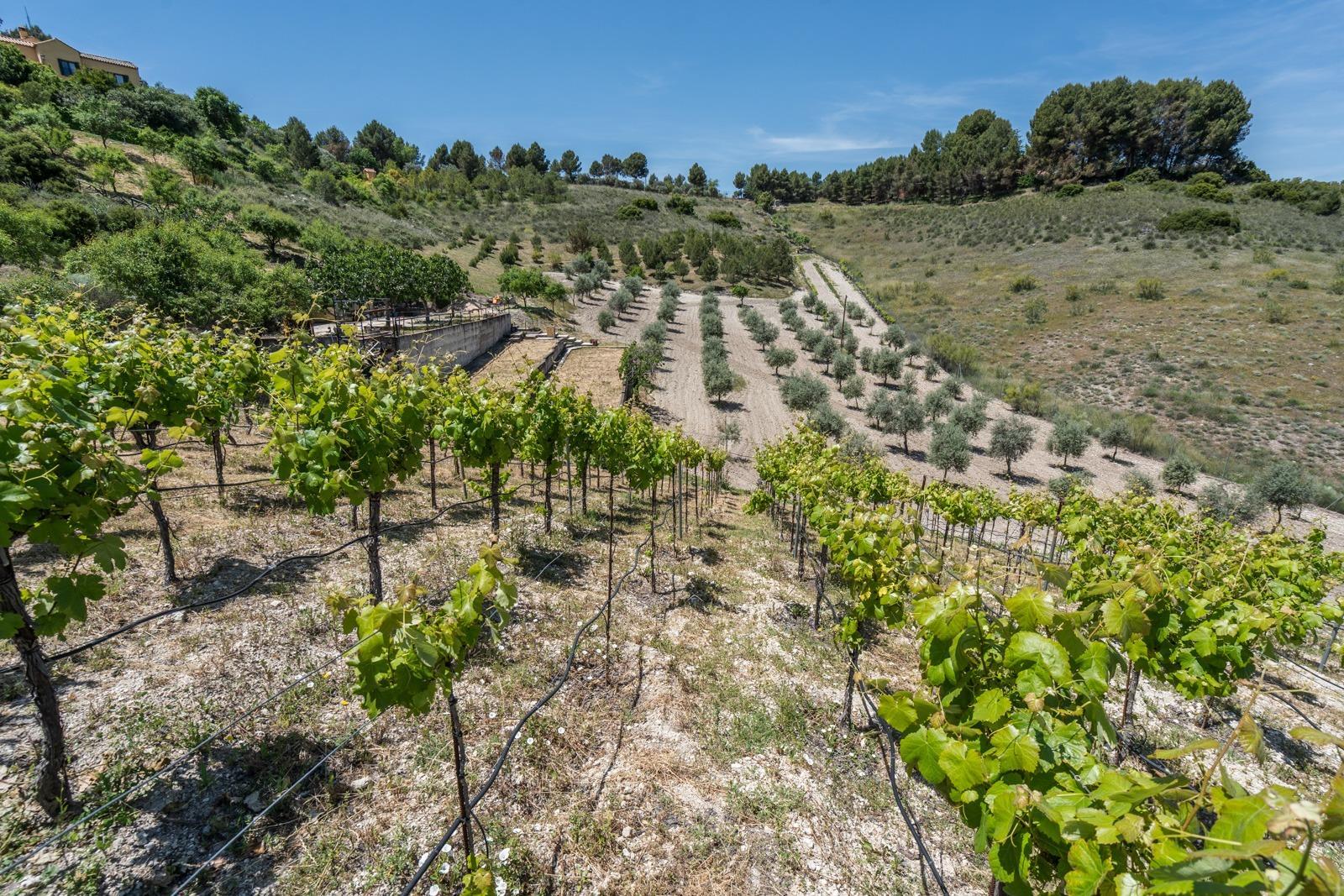 Pisos-Venta-ChinchÃ³n-1734244-Foto-78