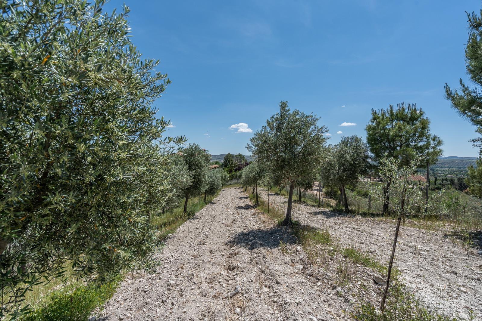 Pisos-Venta-ChinchÃ³n-1734244-Foto-76