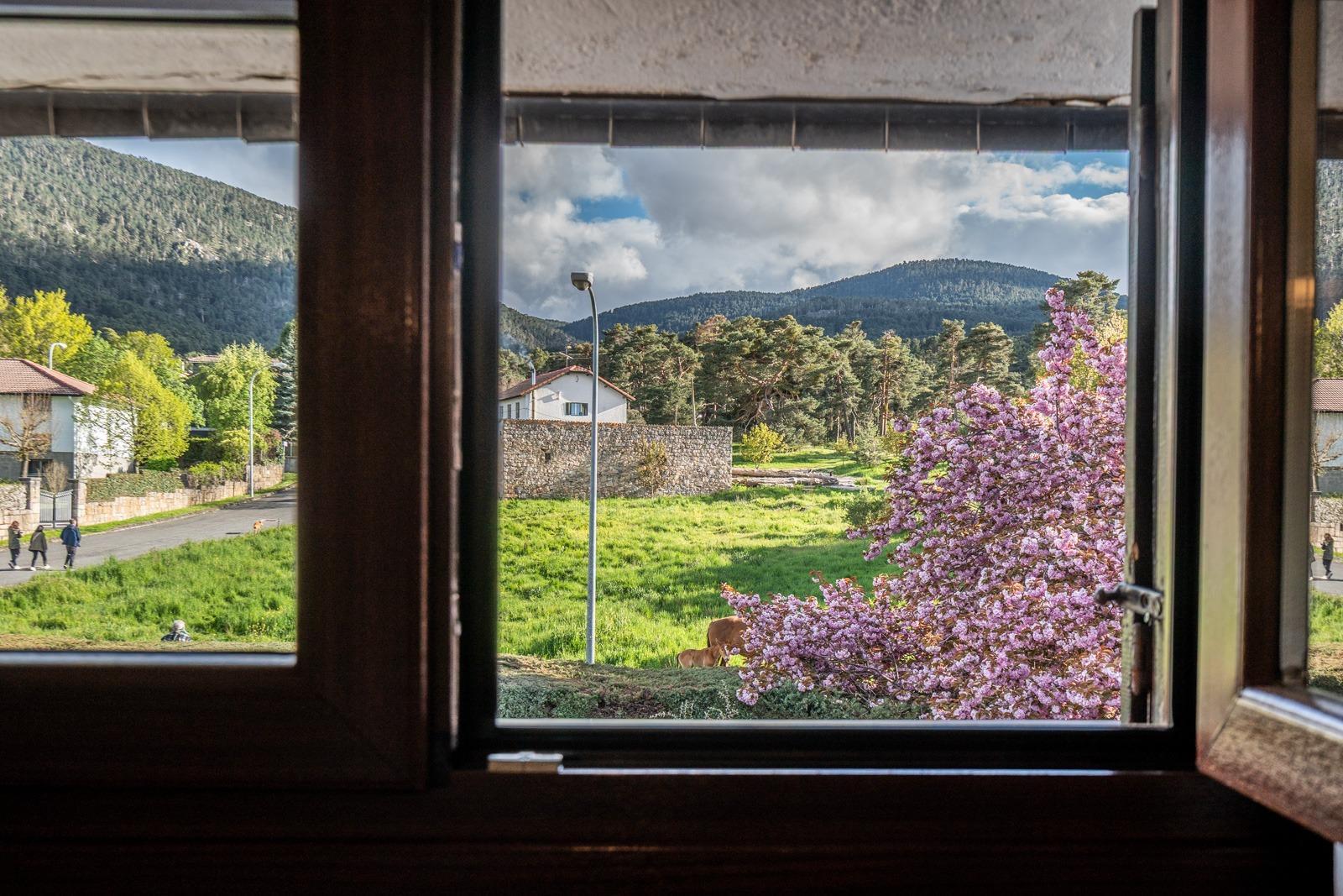 Casas o chalets-Venta-El Espinar-1846050-Foto-41