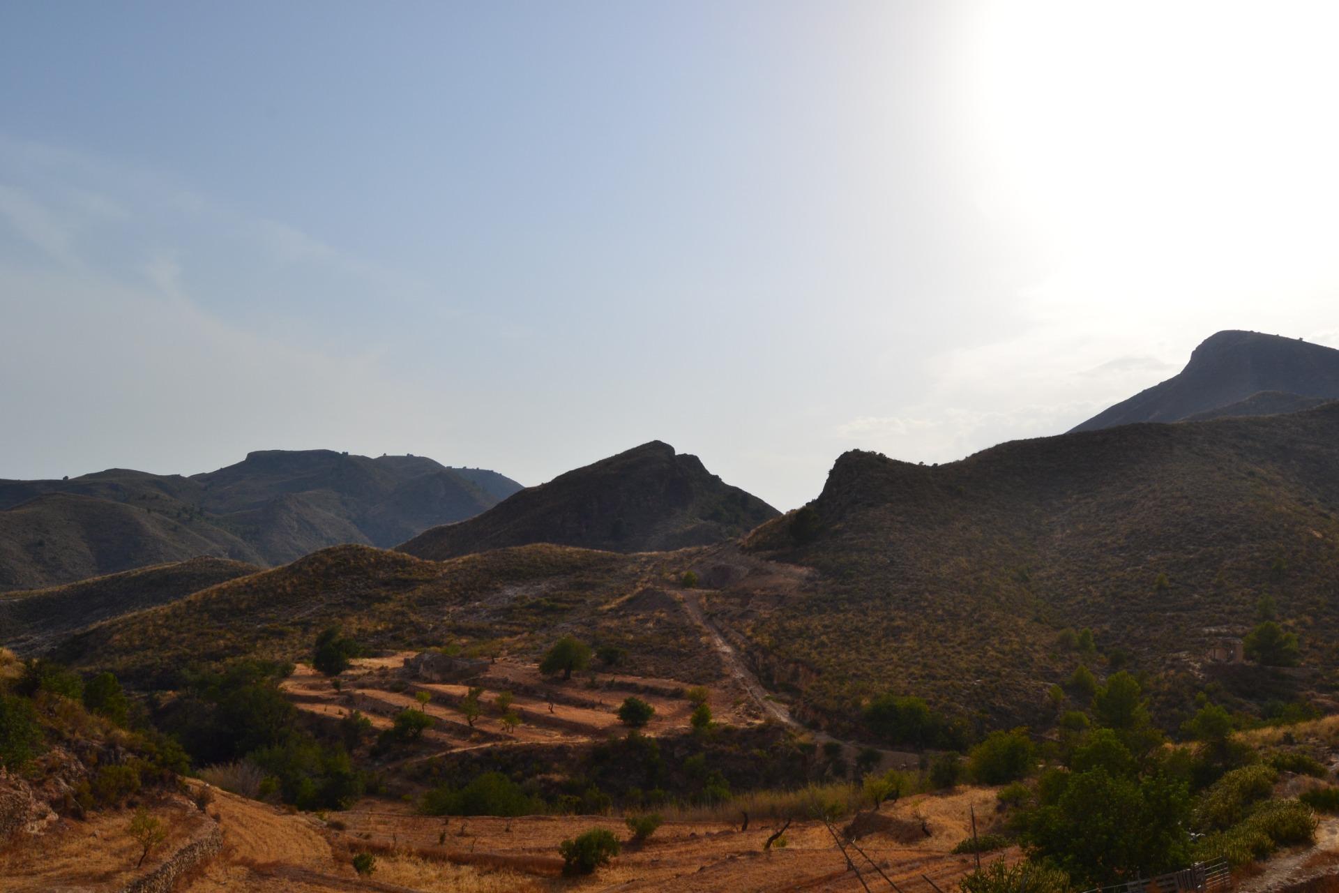 Fincas y solares-Venta-Lorca-1884319-Foto-4