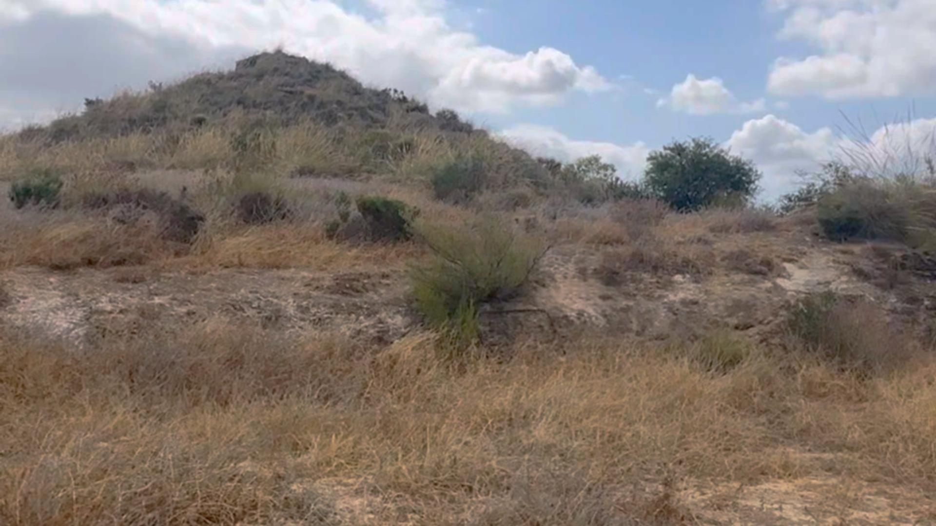 Fincas y solares-Venta-Lorca-1884319-Foto-26