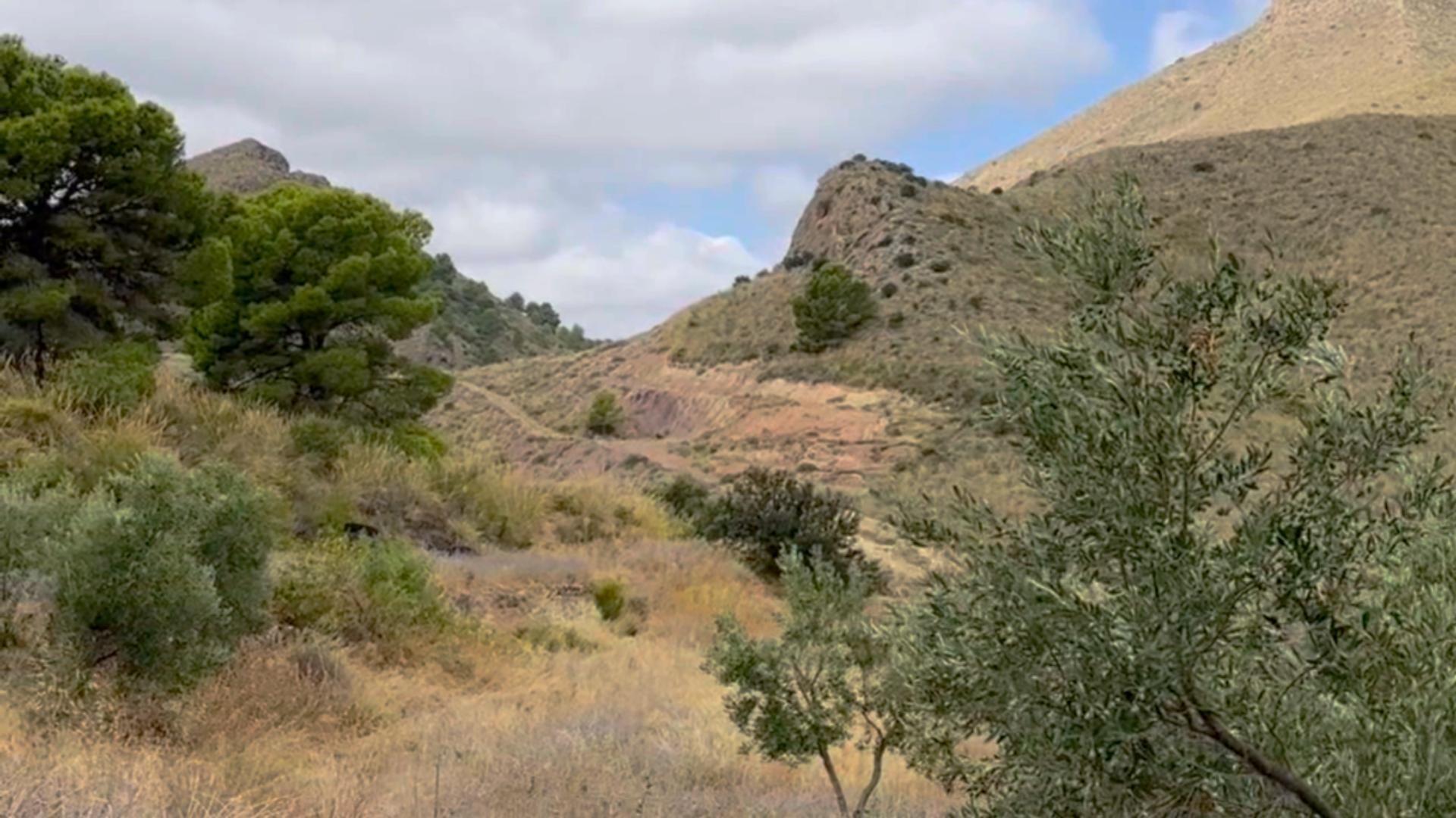 Fincas y solares-Venta-Lorca-1884319-Foto-24