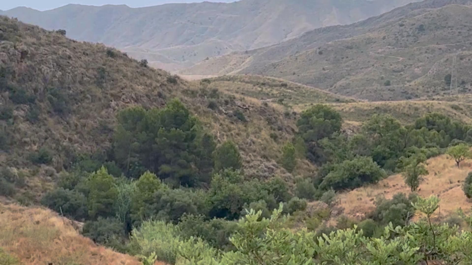 Fincas y solares-Venta-Lorca-1884319-Foto-33