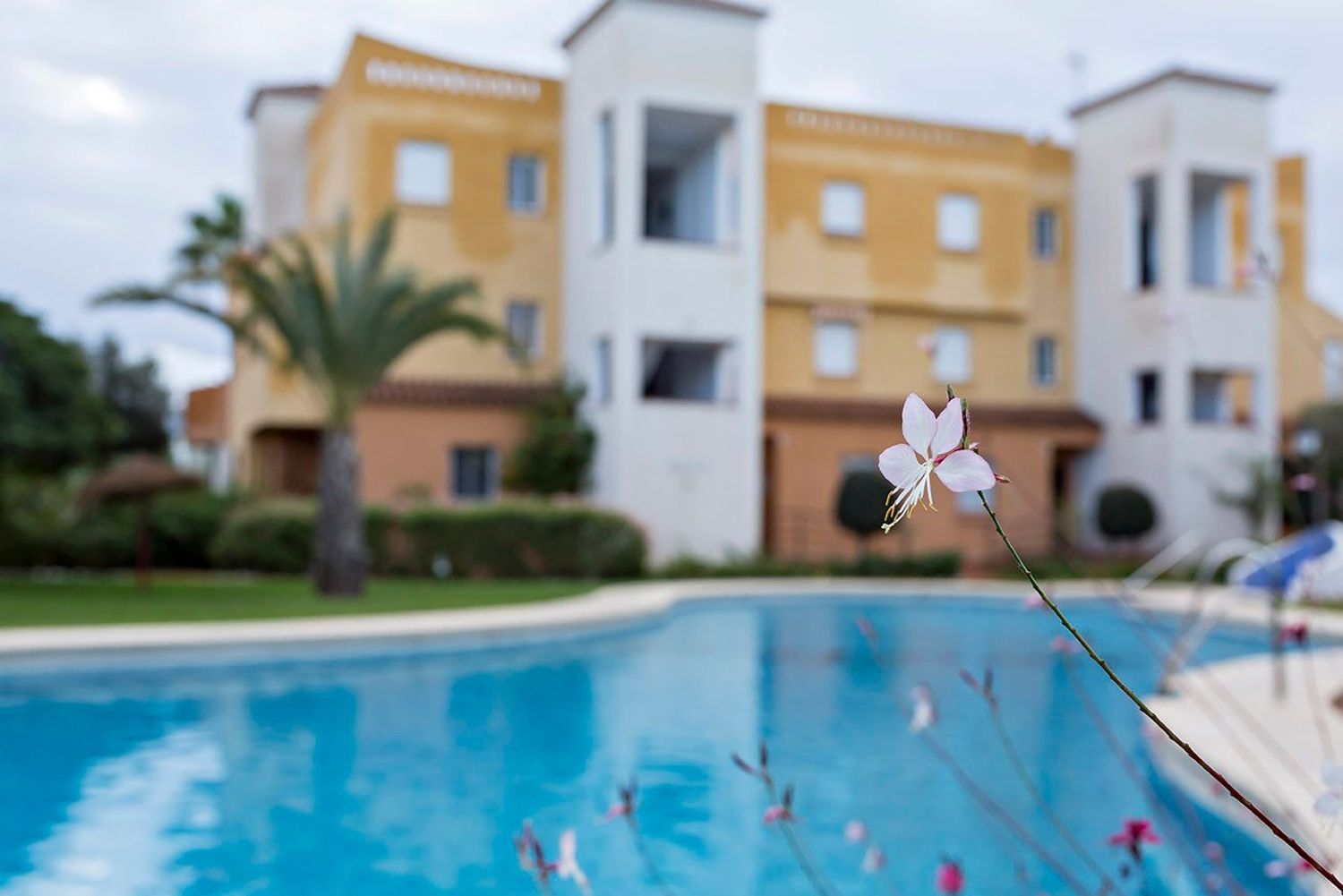 Pisos-Venta-HuÃ©rcal-Overa-2009524-Foto-28