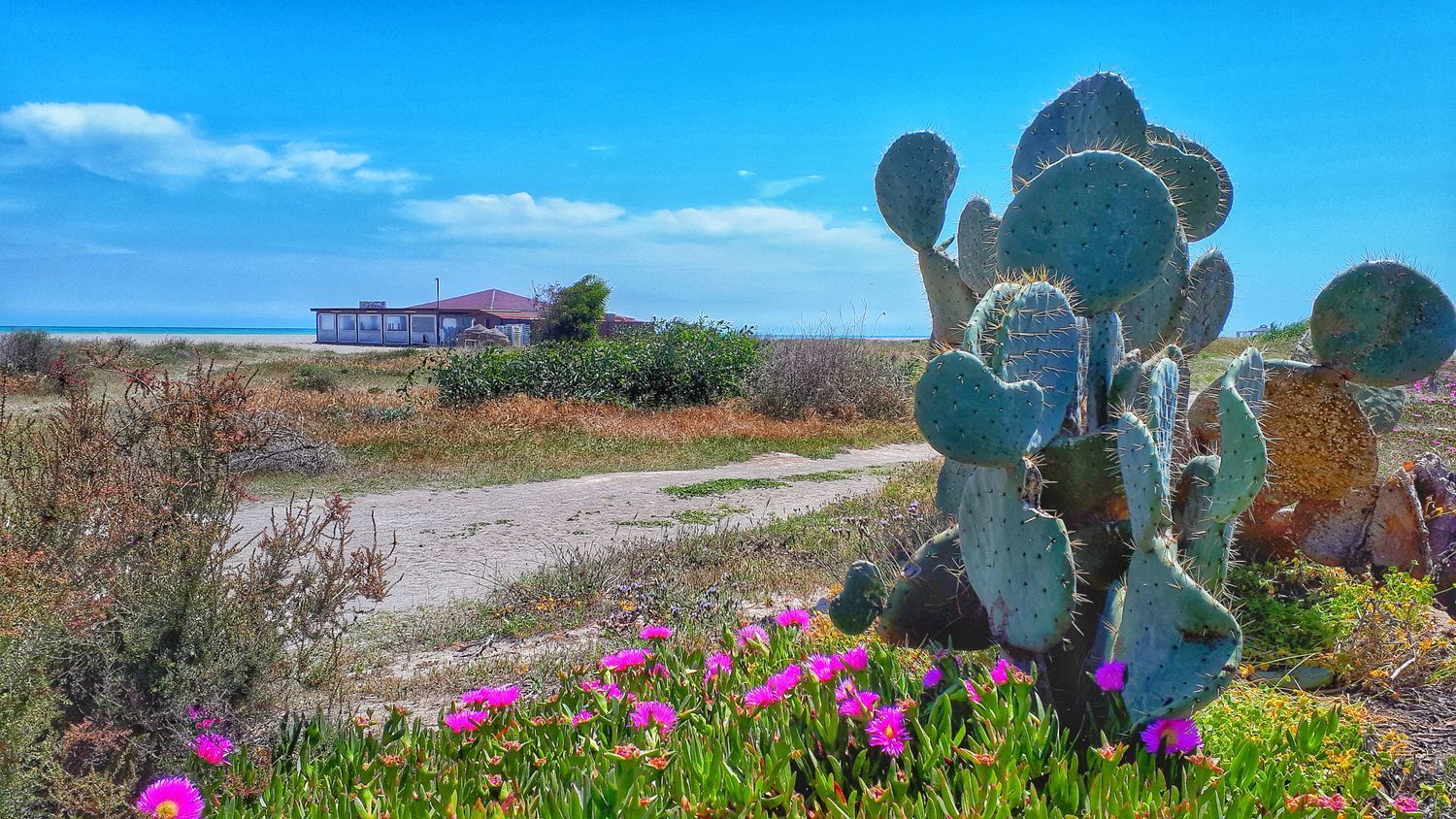 Pisos-Venta-HuÃ©rcal-Overa-2009524-Foto-36