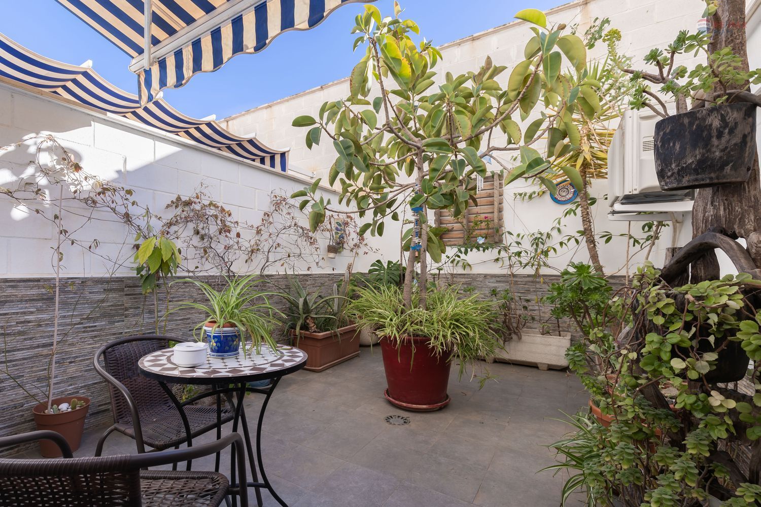 Pisos-Venta-Garrucha-2009060-Foto-22