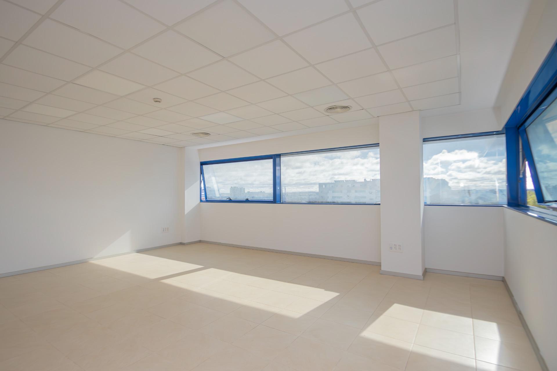 Oficinas-Venta-Burguillos-1993541-Foto-4