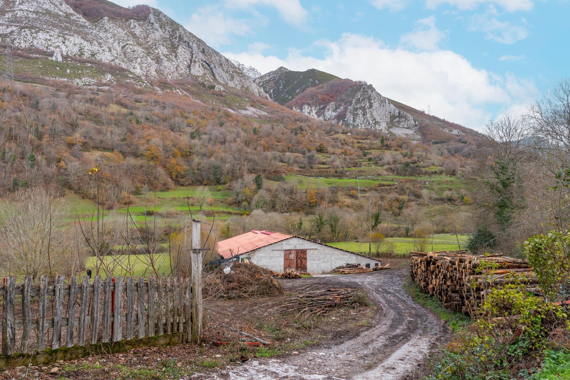 Negocios-Venta-Caso-2009530-Foto-2