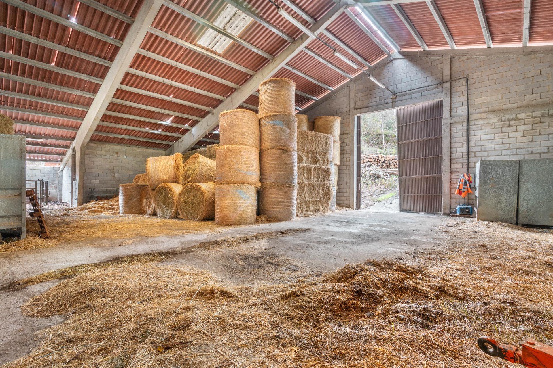 Negocios-Venta-Caso-2009530-Foto-5