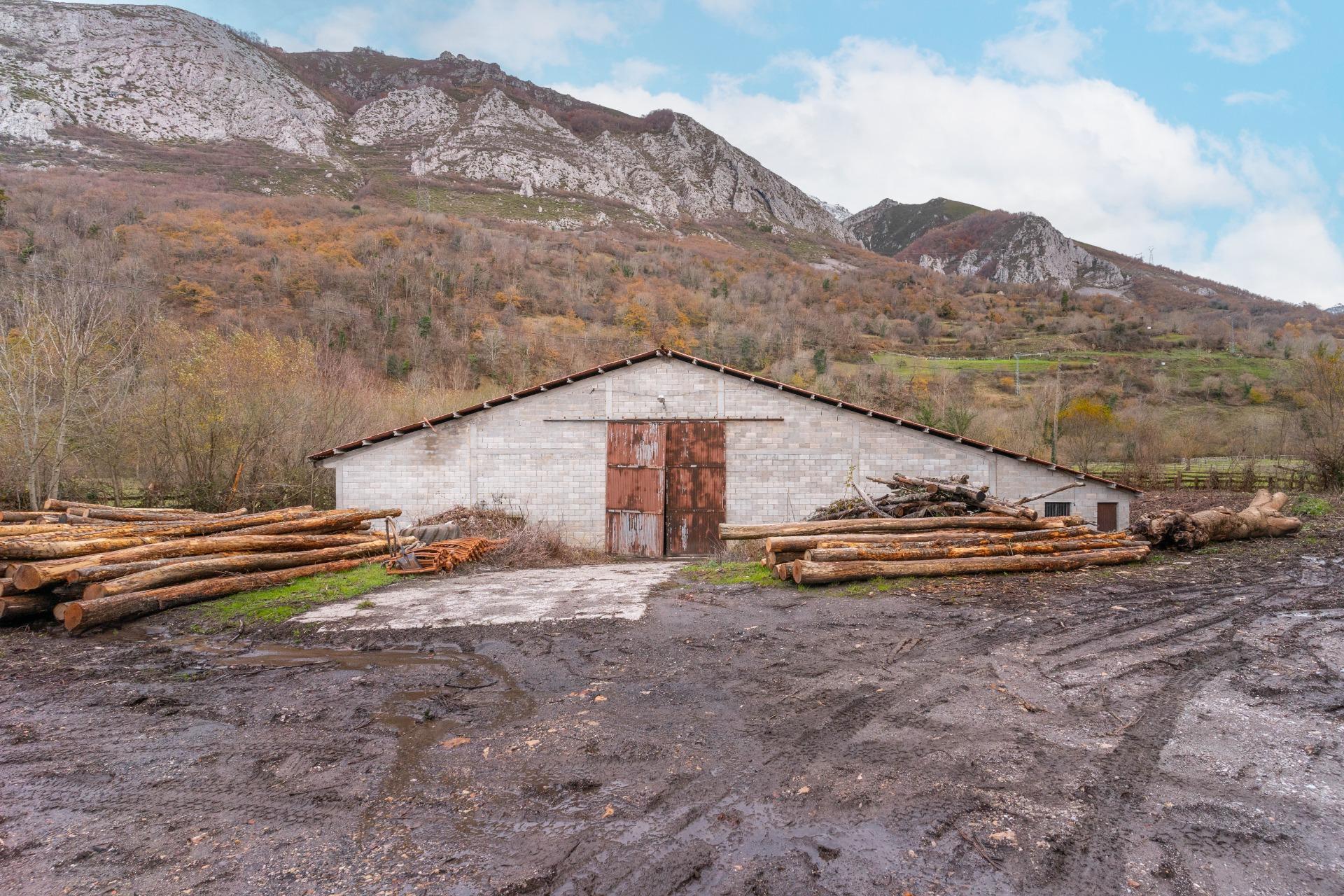 Negocios-Venta-Caso-2009530-Foto-3