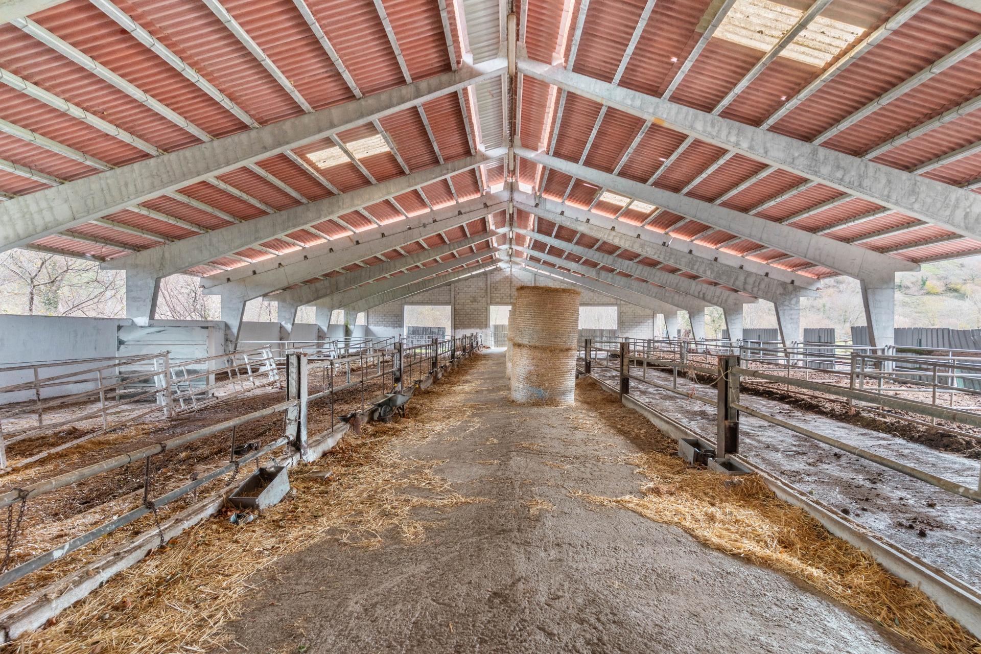 Negocios-Venta-Caso-2009530-Foto-4