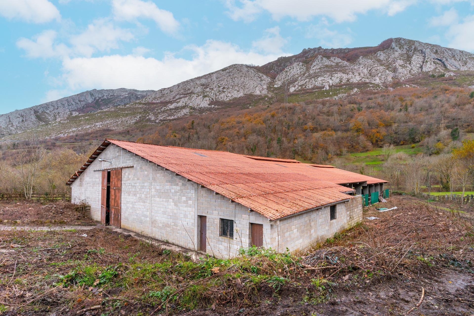 Negocios-Venta-Caso-2009530