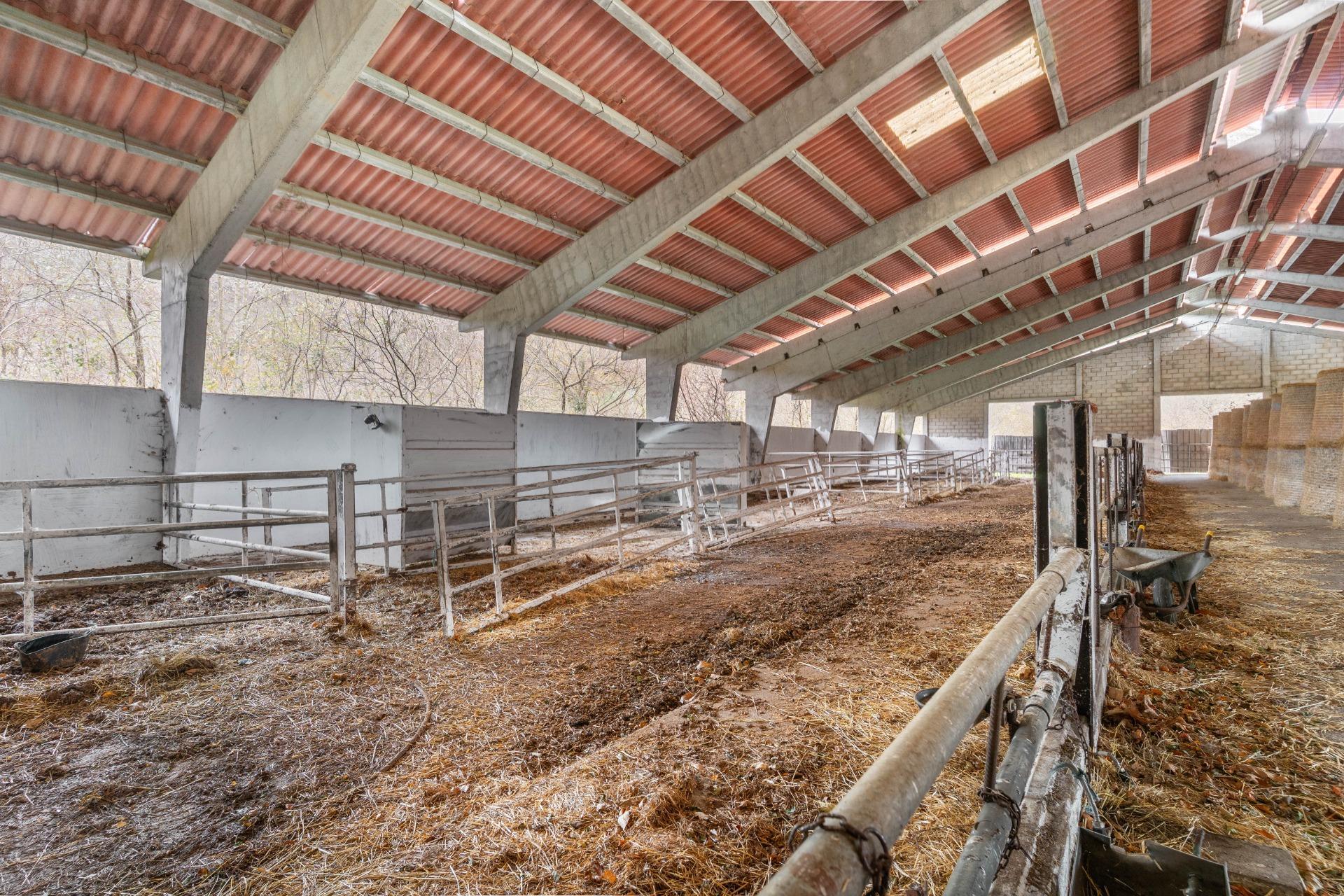 Negocios-Venta-Caso-2009530-Foto-9