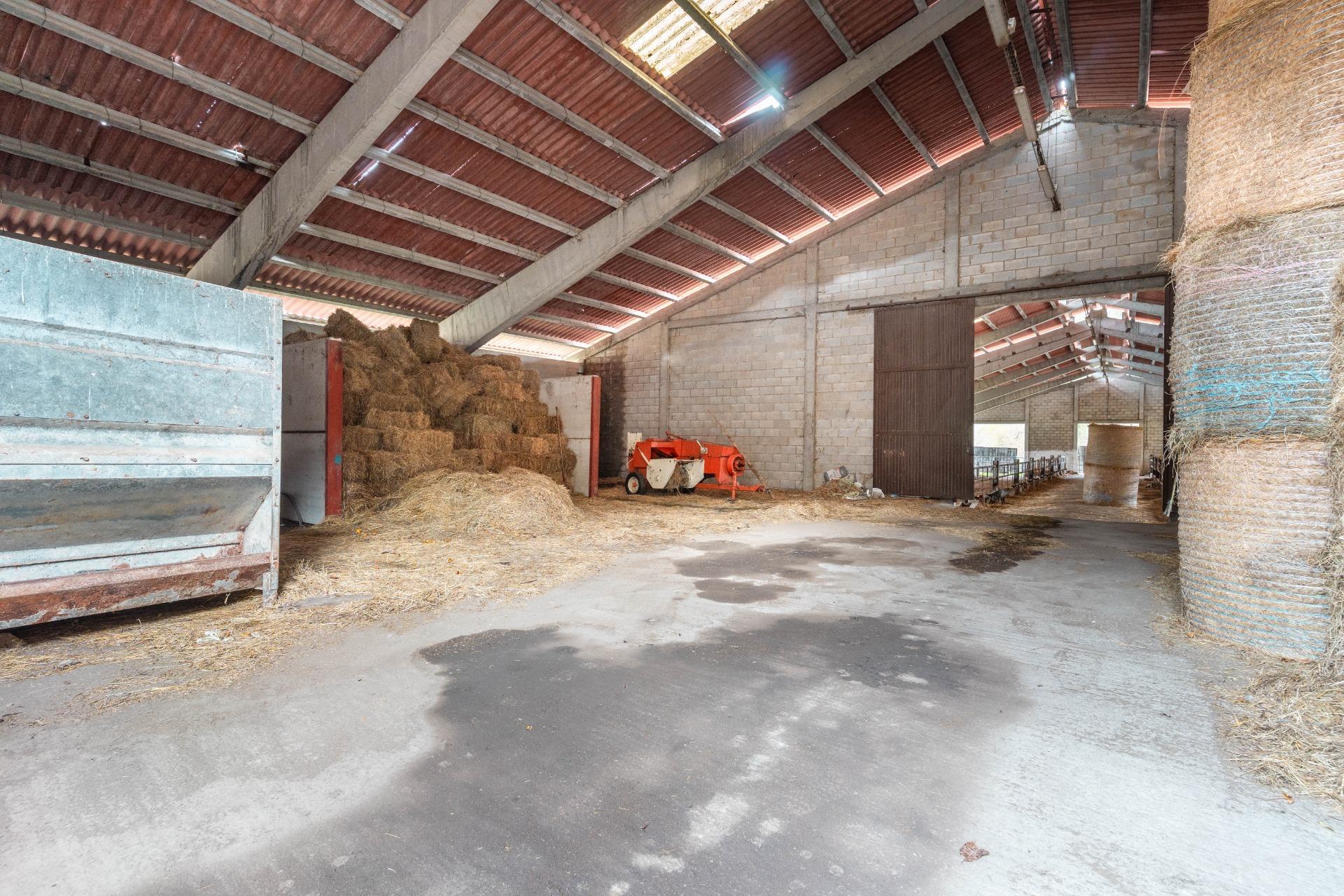 Negocios-Venta-Caso-2009530-Foto-6