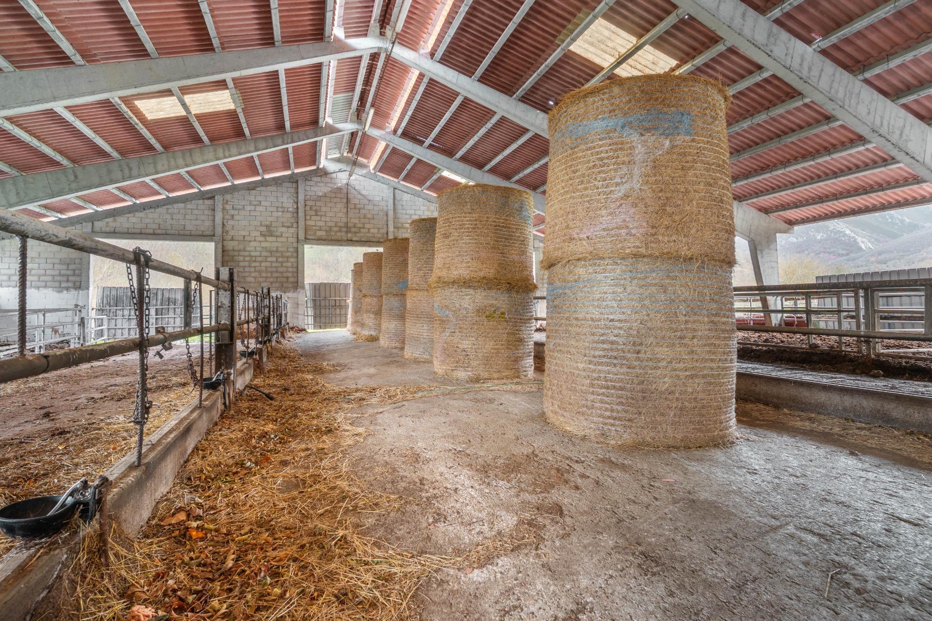 Negocios-Venta-Caso-2009530-Foto-13